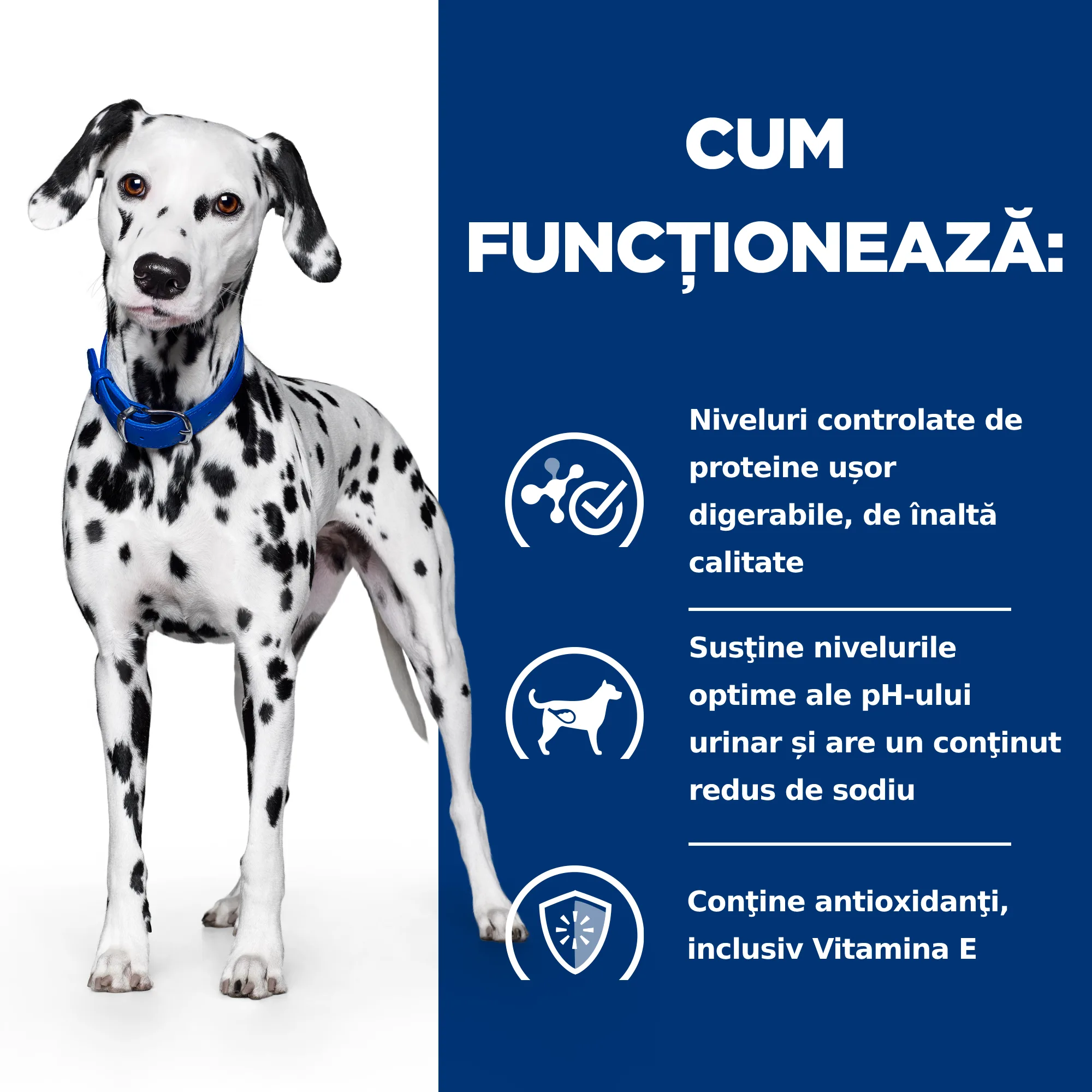 Hill's Prescription Diet U/D Câini 10kg