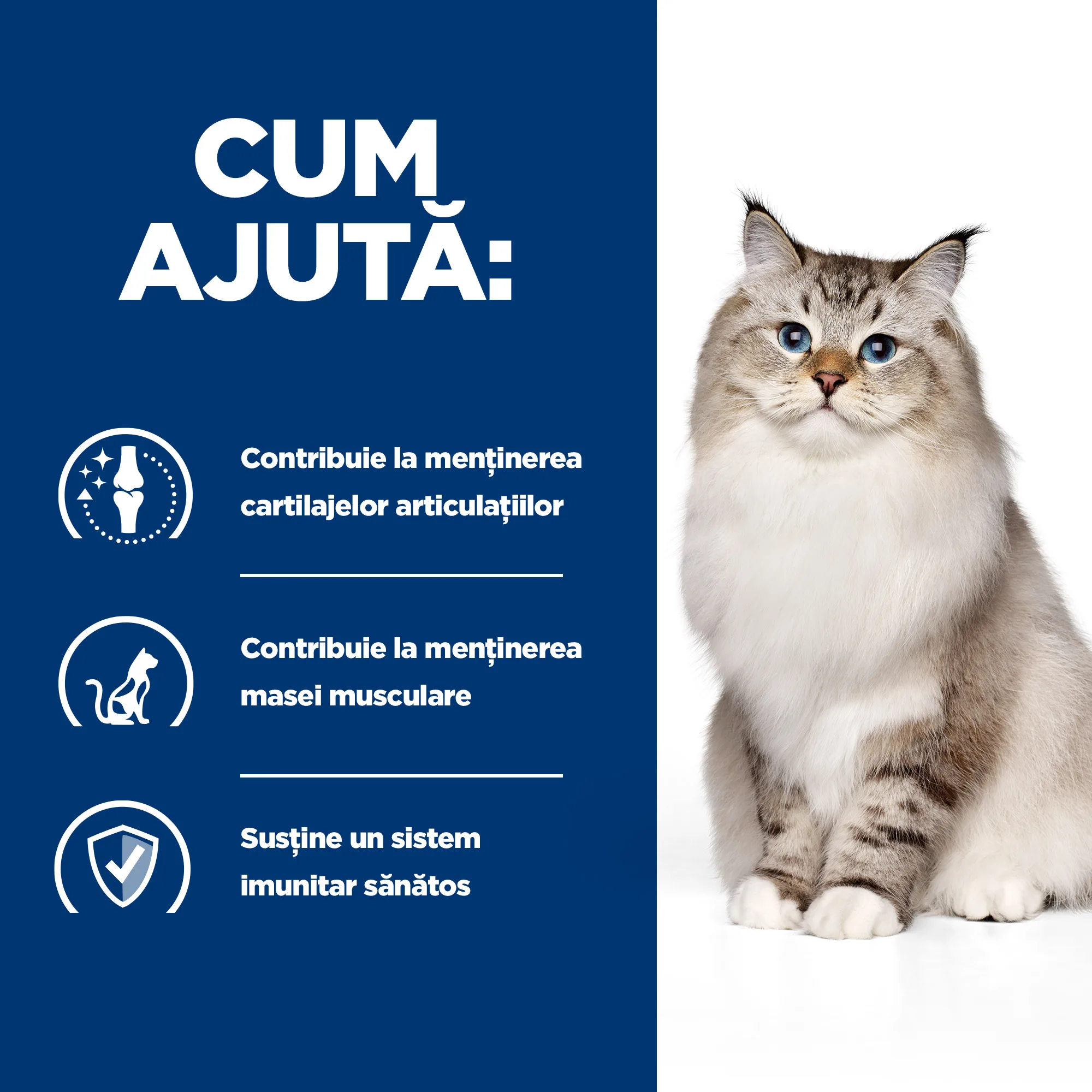 Hill's Prescription Diet J/D cu Pui Pisici 1.5kg