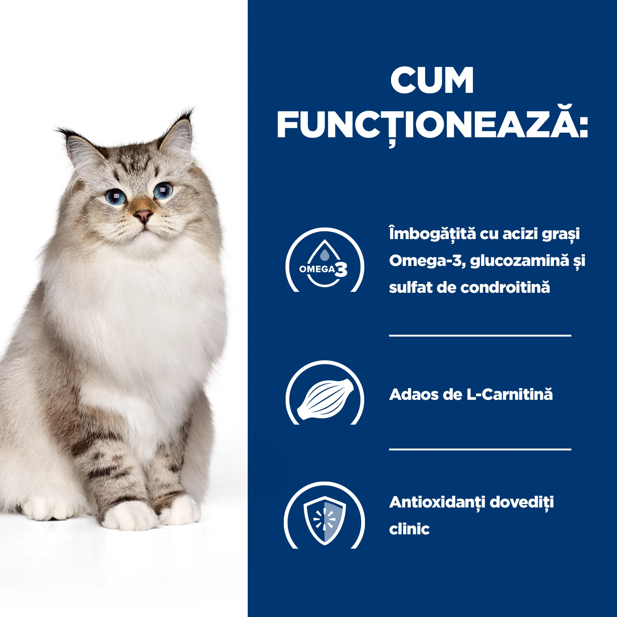 Hill's Prescription Diet J/D cu Pui Pisici 1.5kg