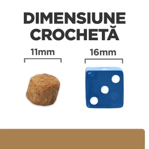 Hill's Prescription Diet J/D Câini 1.5kg