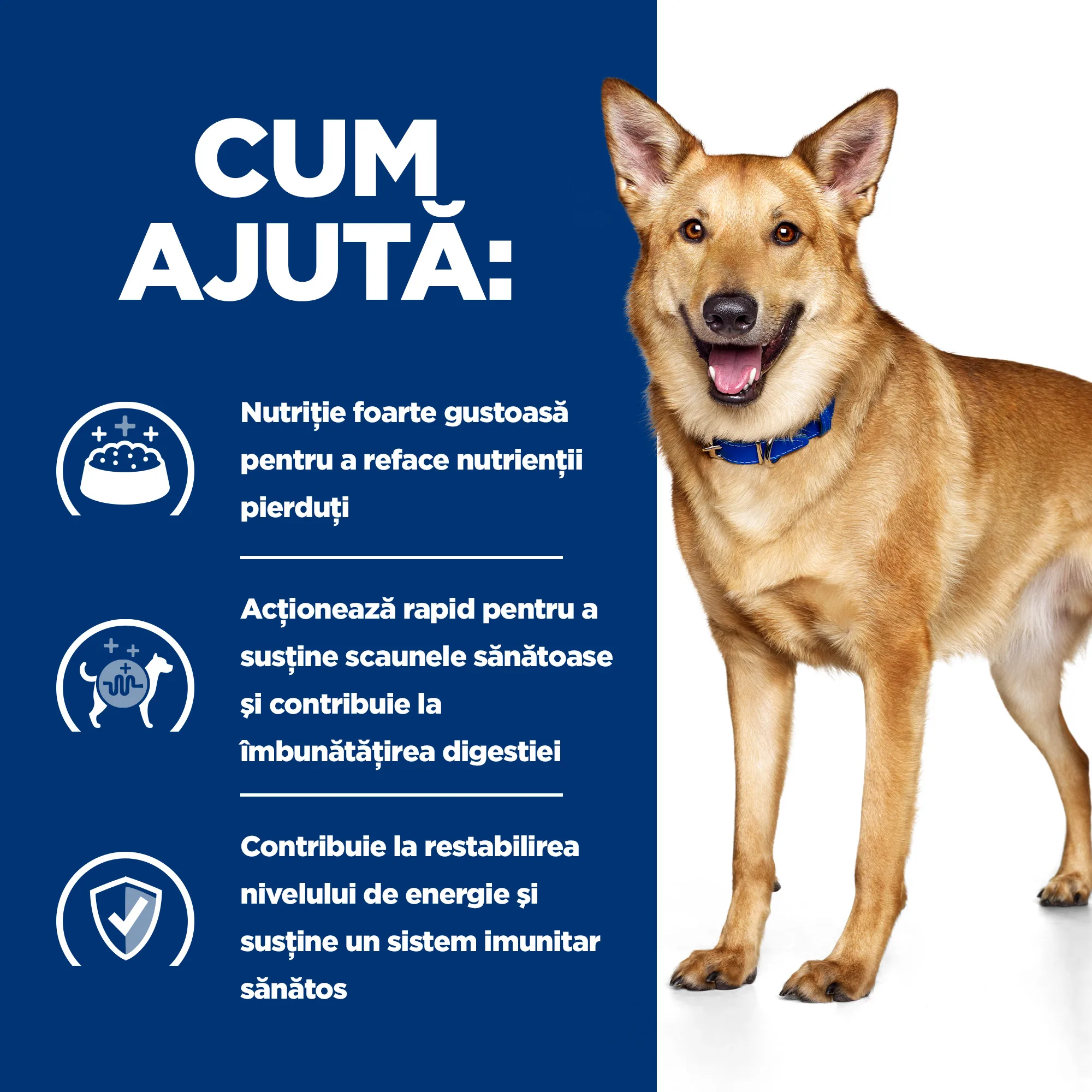 Hill's Prescription Diet I/D cu Pui Câini 16kg