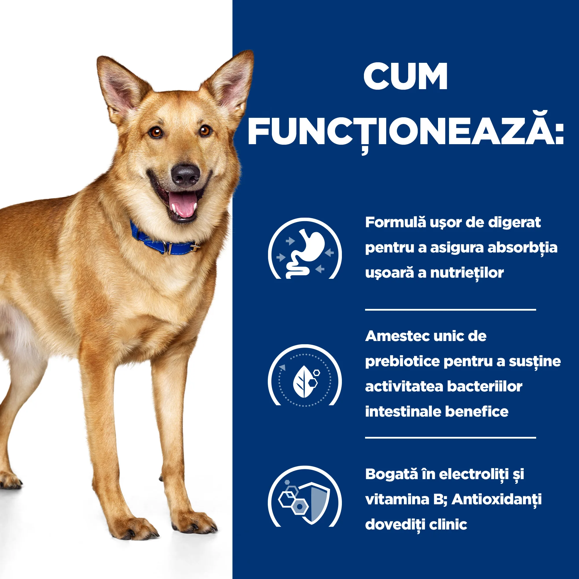 Hill's Prescription Diet I/D cu Pui Câini 16kg
