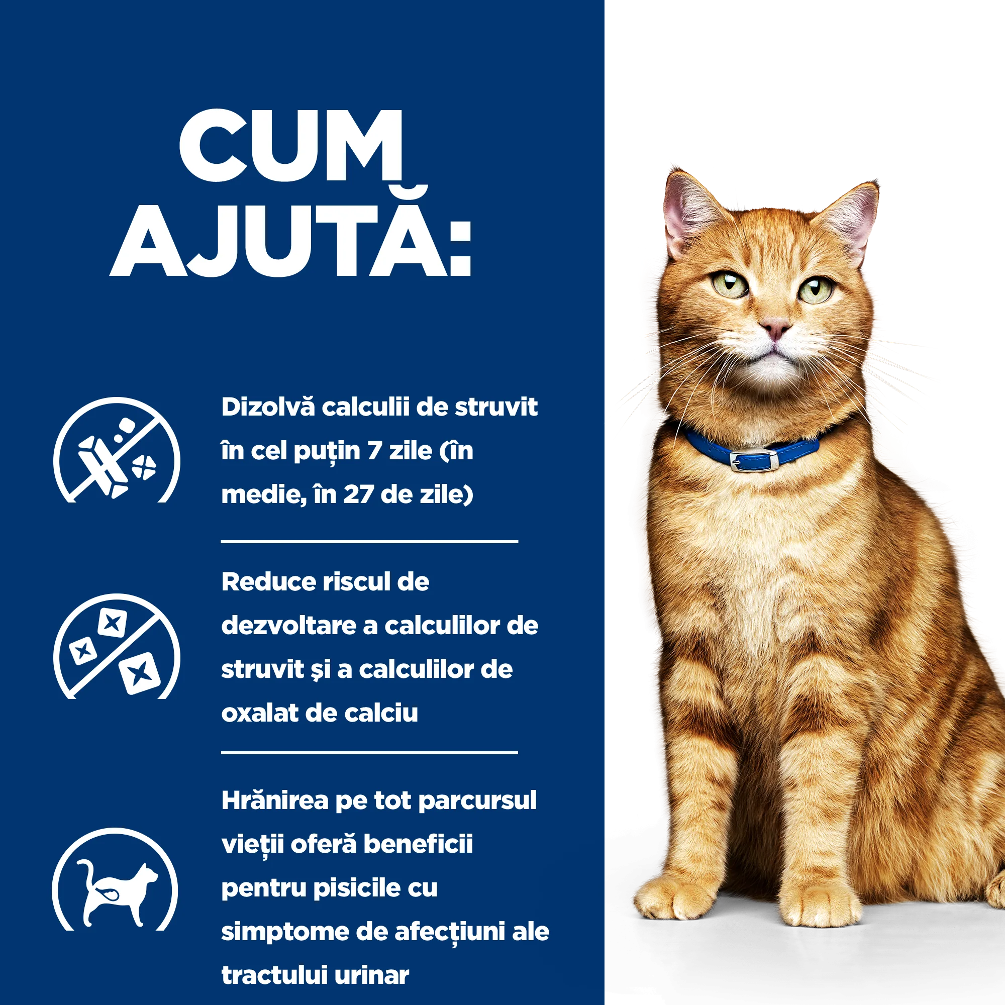 Hill's Prescription Diet C/D Multicare cu Pui Pisici 12kg