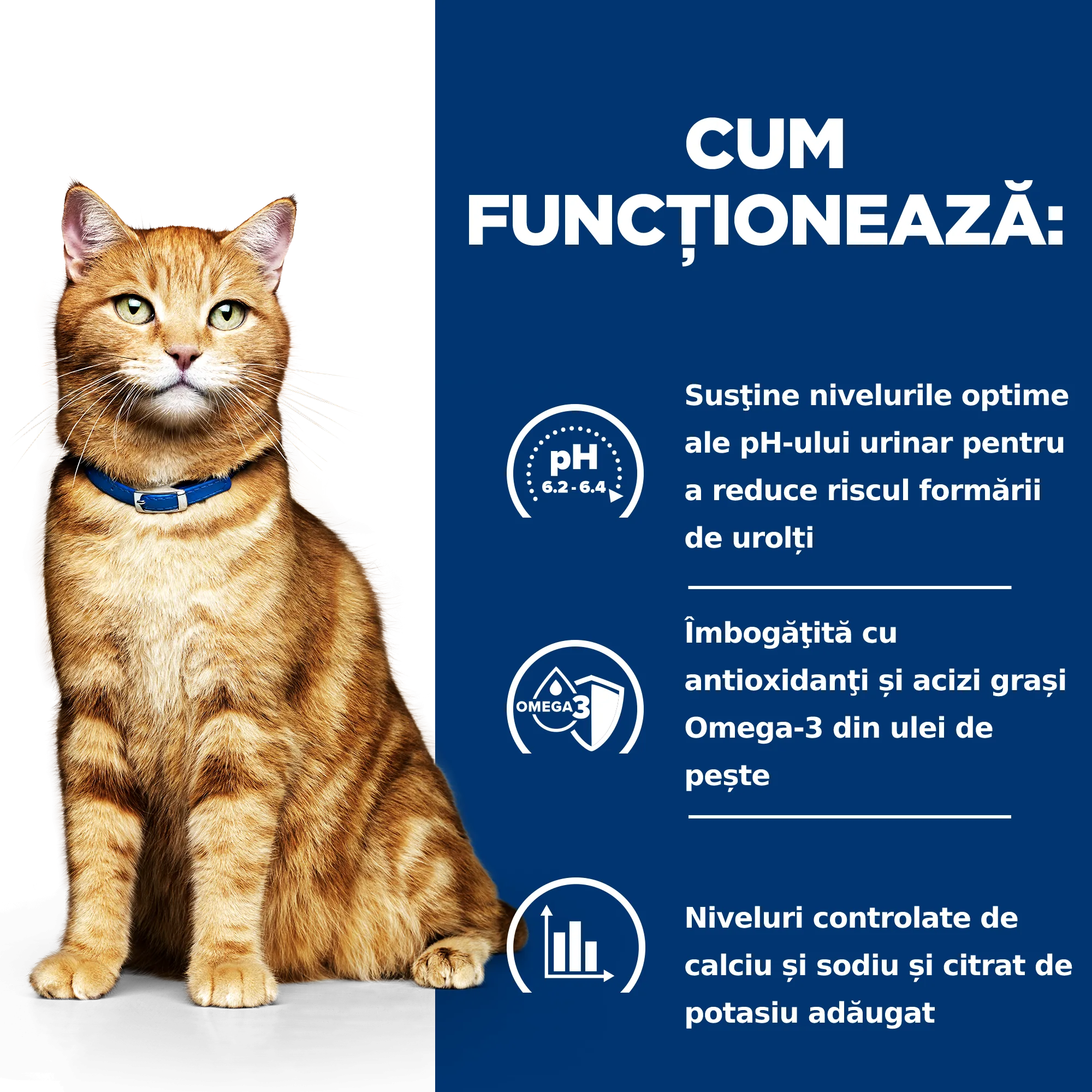Hill's Prescription Diet C/D Multicare cu Pui Pisici 12kg