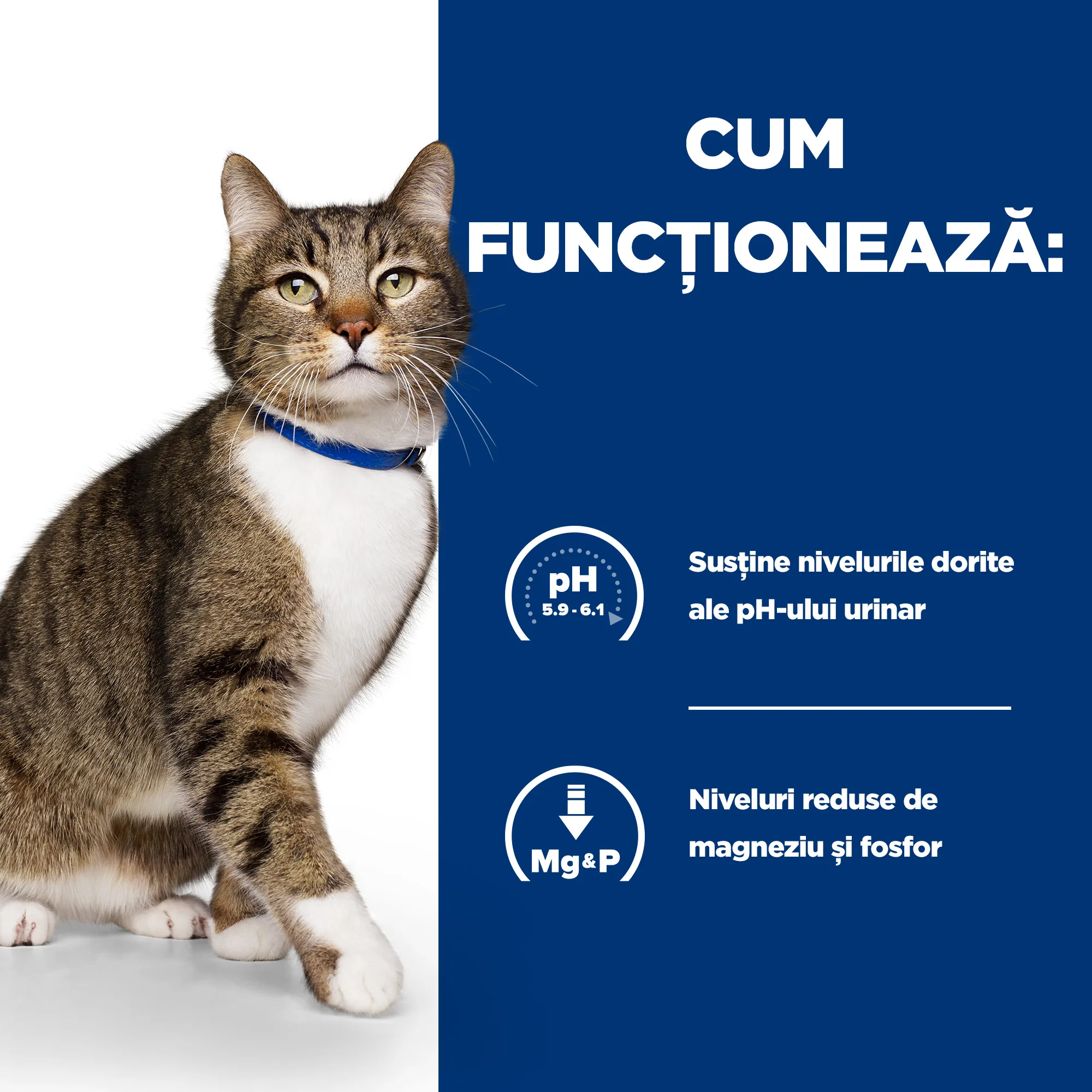 Hill's Prescription Diet S/D cu Pui Pisici 1.5kg