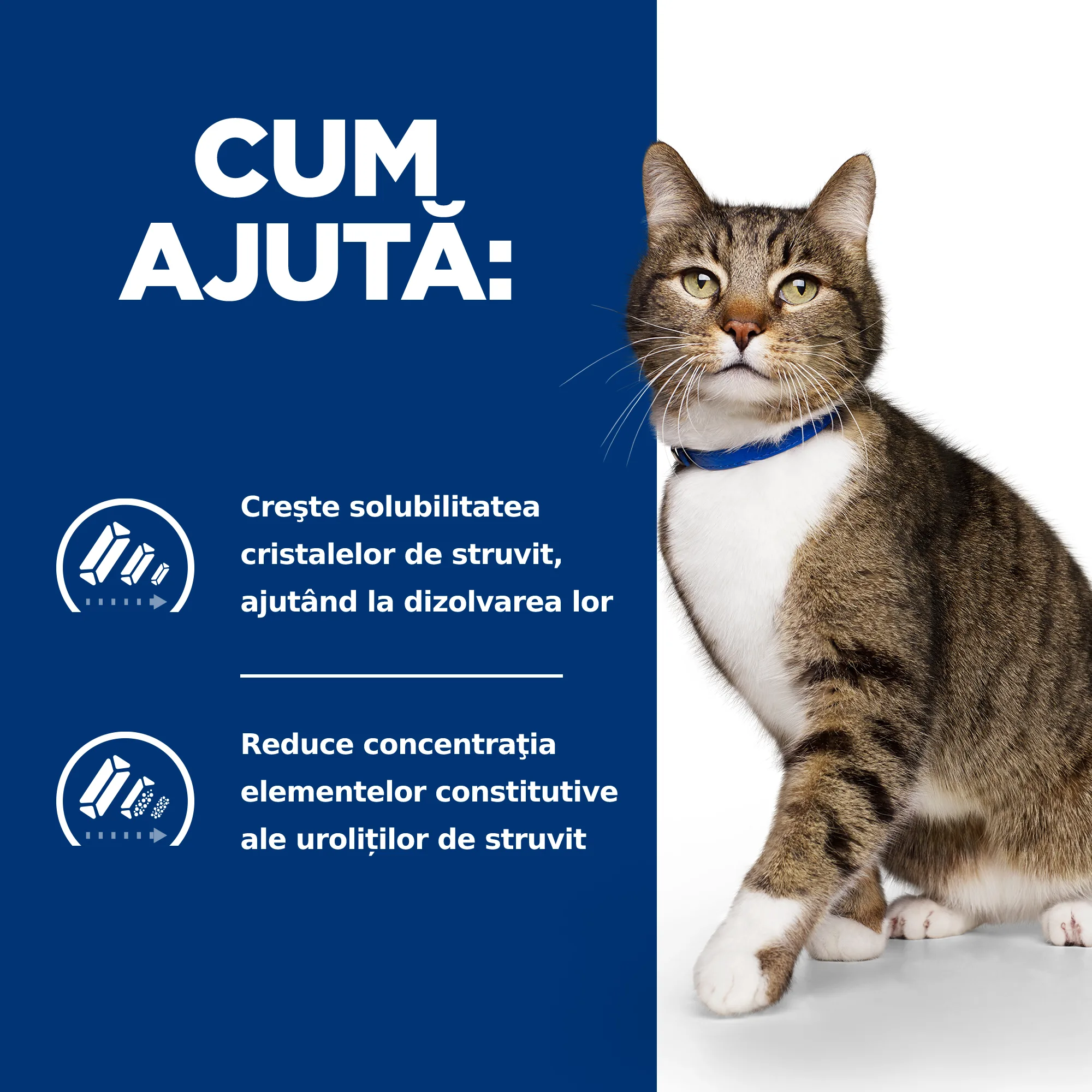 Hill's Prescription Diet S/D cu Pui Pisici 1.5kg