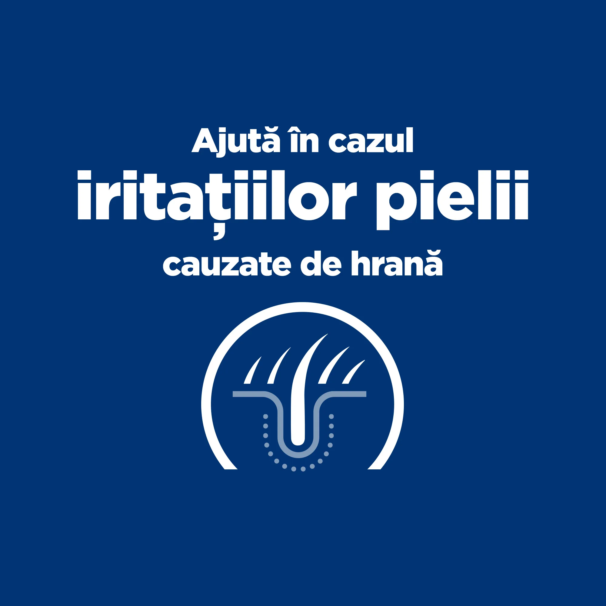 Hill's Prescription Diet ZD Pisici 1.5kg