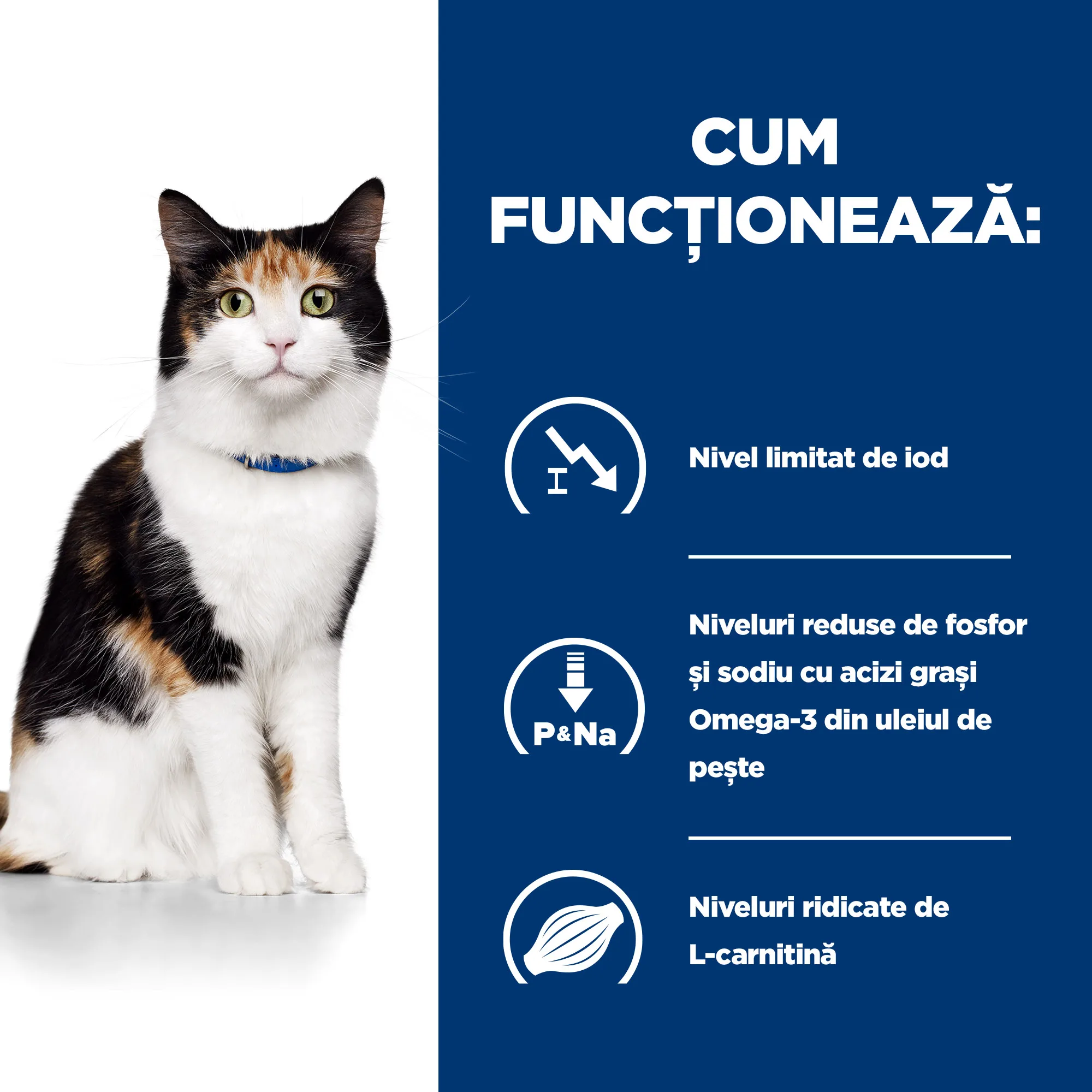 Hill's Prescription Diet Y/D Pisici 3kg