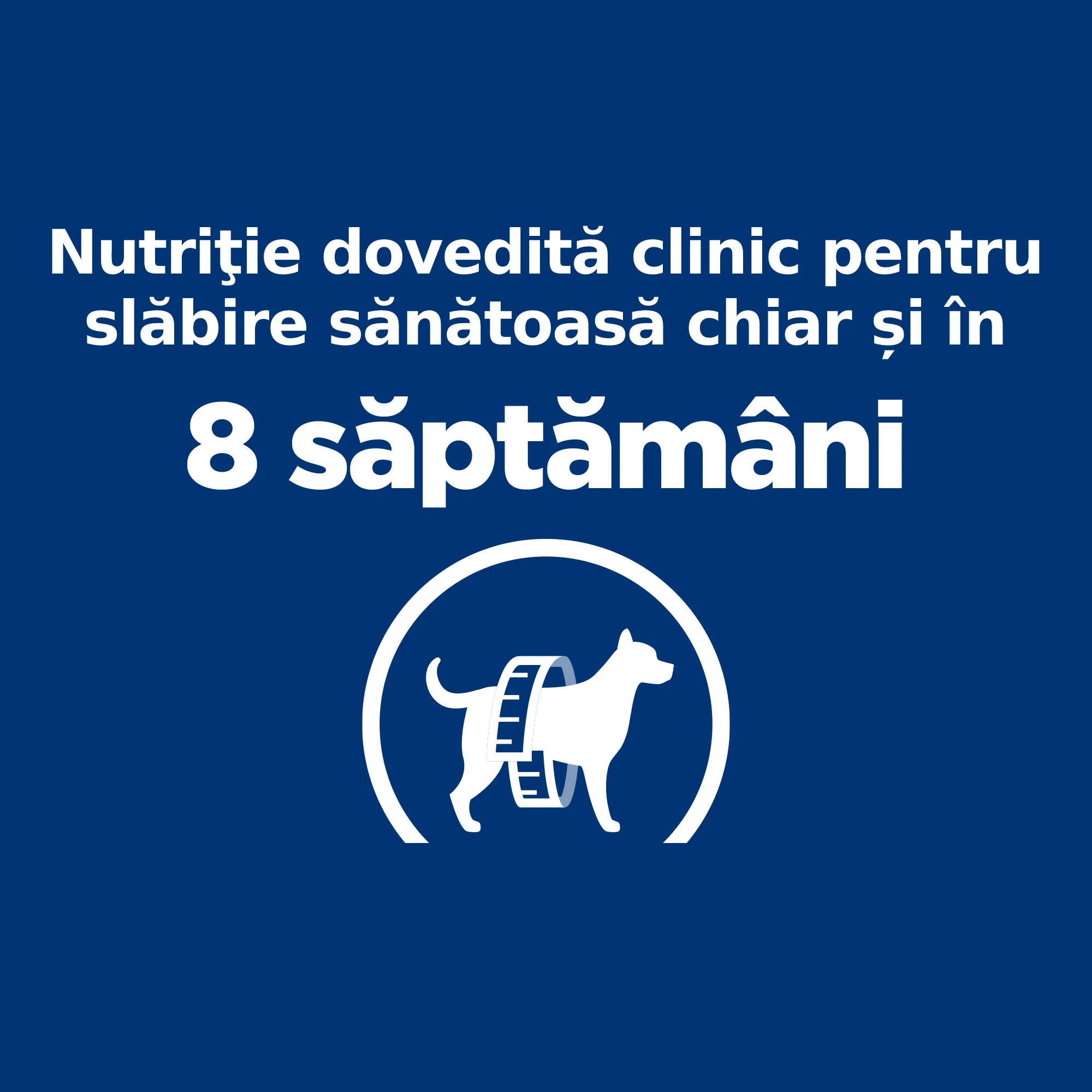 Hill's Prescription Diet R/D cu Pui Câini 4kg
