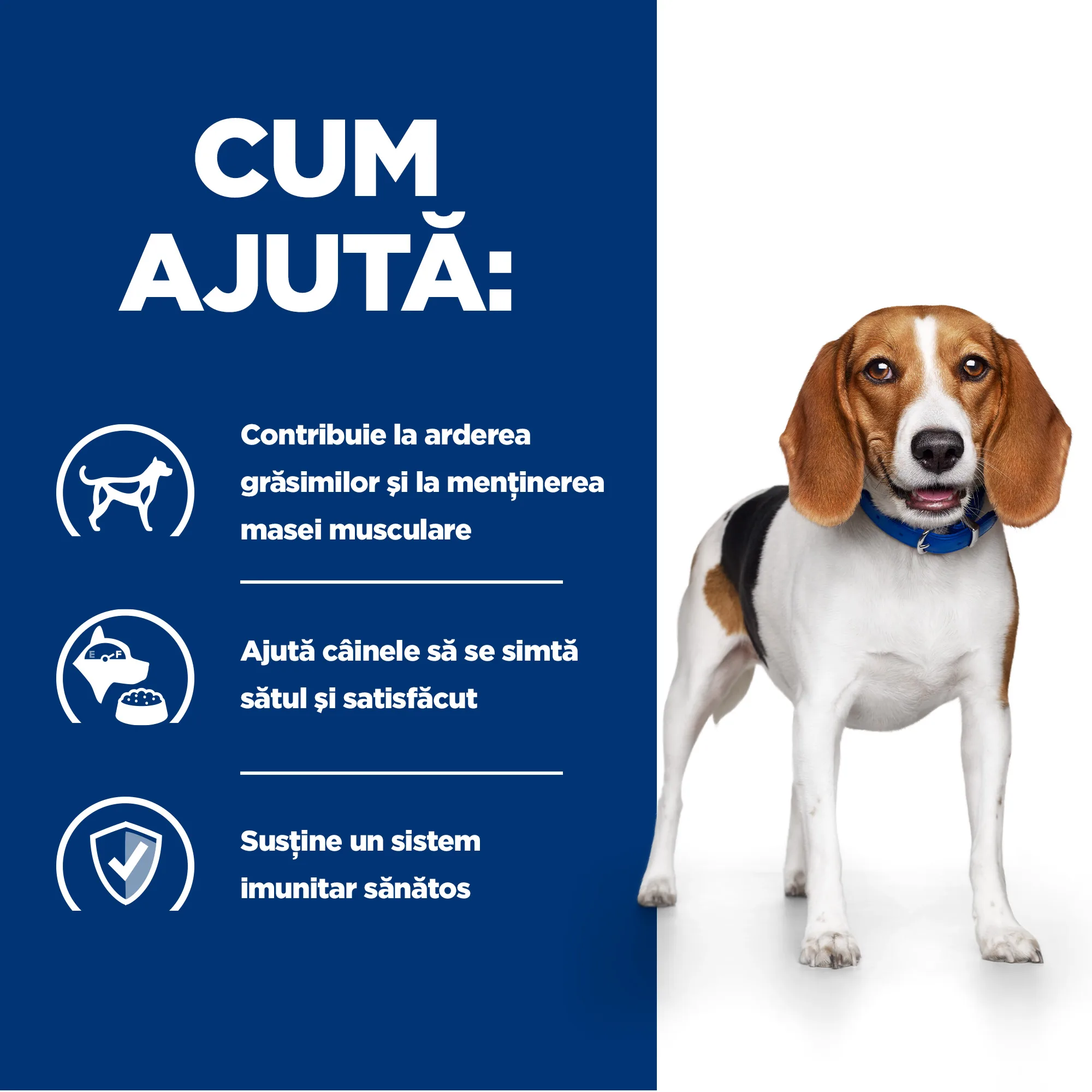 Hill's Prescription Diet R/D cu Pui Câini 4kg