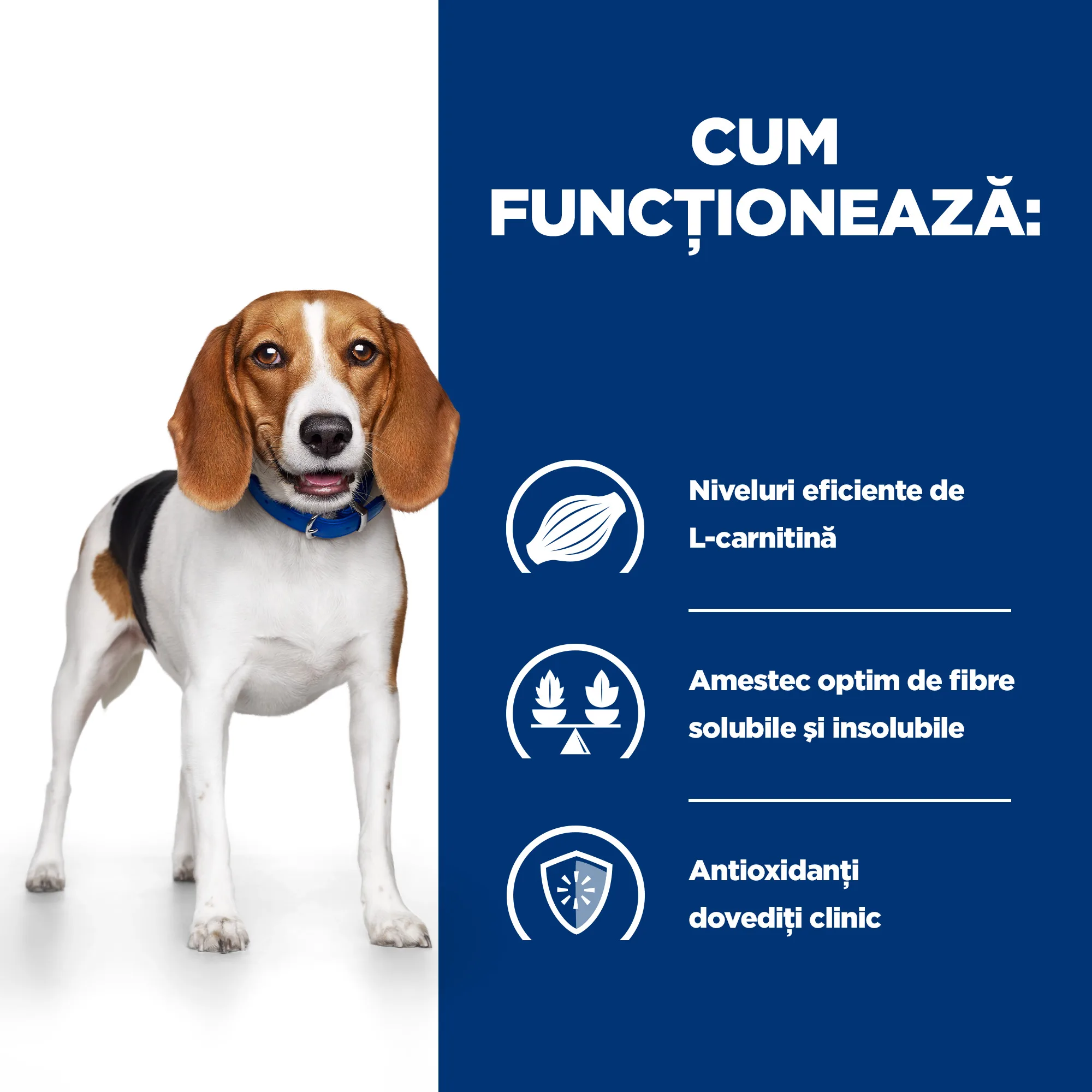 Hill's Prescription Diet R/D cu Pui Câini 4kg