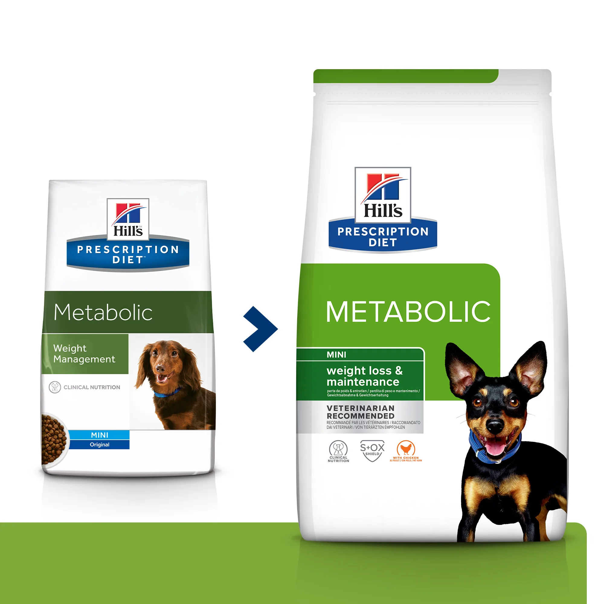 Hill's Prescription Diet Metabolic Mini cu Pui Câini 6kg