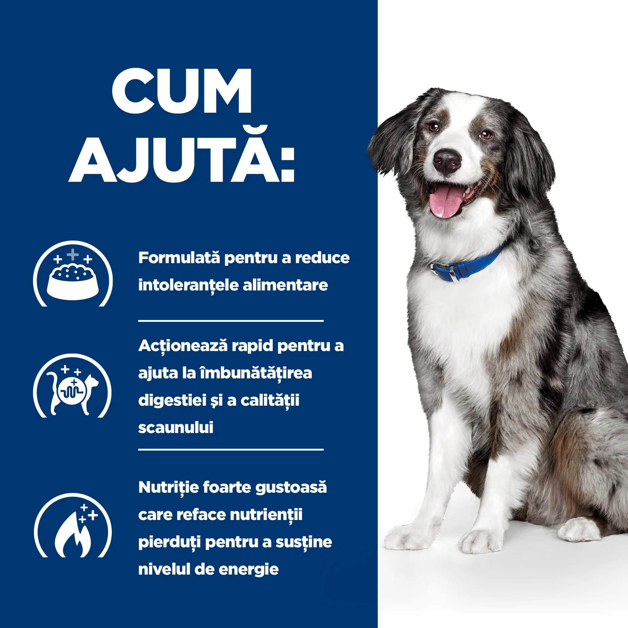 Hill's Prescription Diet I/D Sensitive cu Ou și Orez Câini 1.5kg