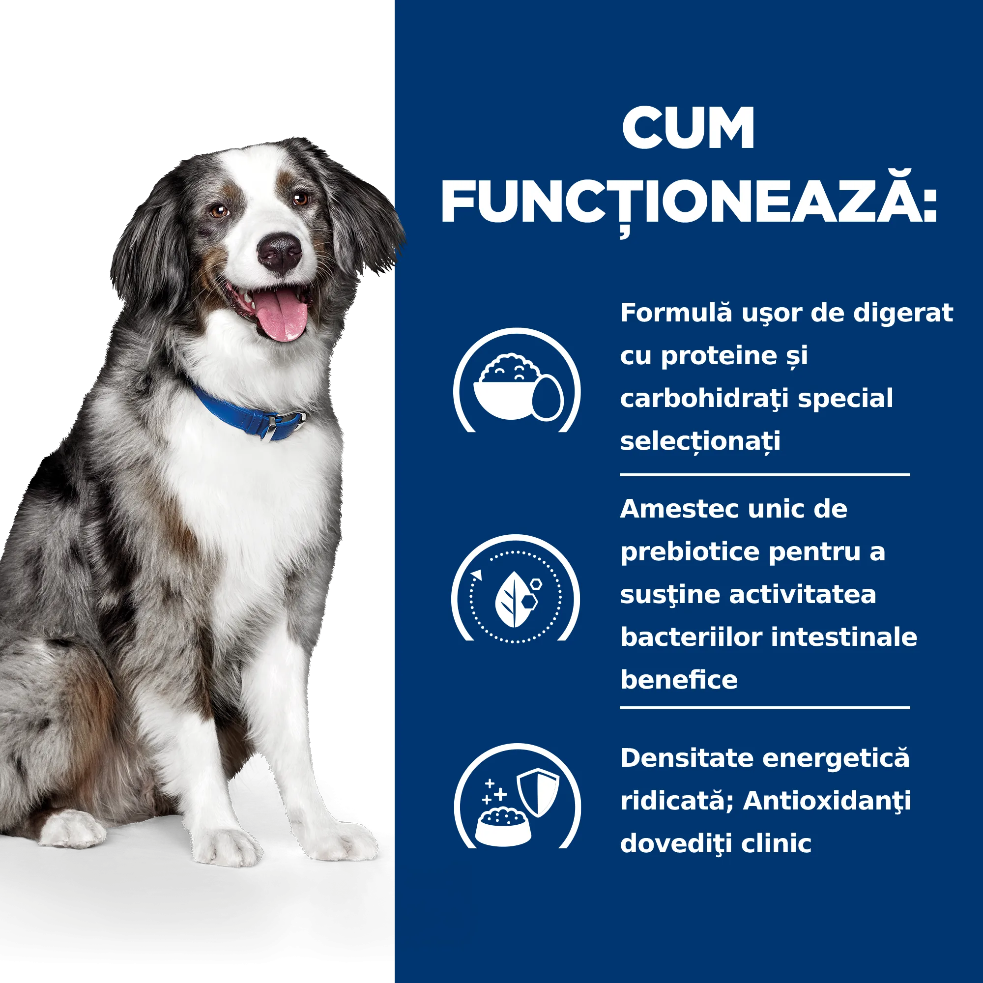 Hill's Prescription Diet I/D Sensitive cu Ou și Orez Câini 1.5kg