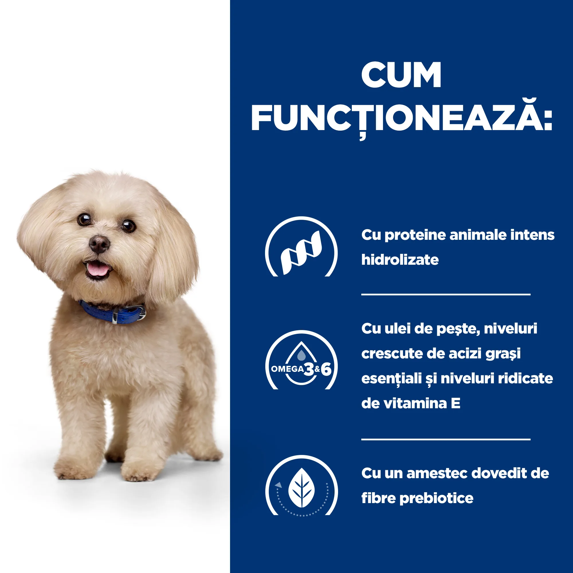 Hill's Prescription Diet Z/D Mini Câini 1kg