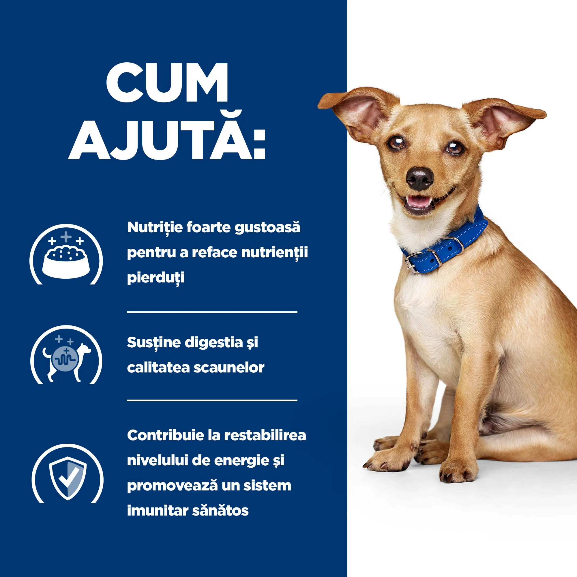Hill's Prescription Diet I/D Tocăniță cu Pui și Legume Adăugate Câini 156g