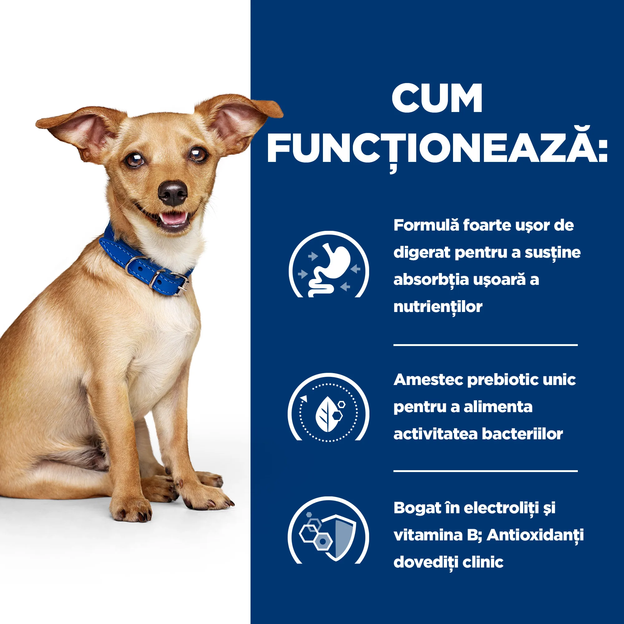 Hill's Prescription Diet I/D Tocăniță cu Pui și Legume Adăugate Câini 156g