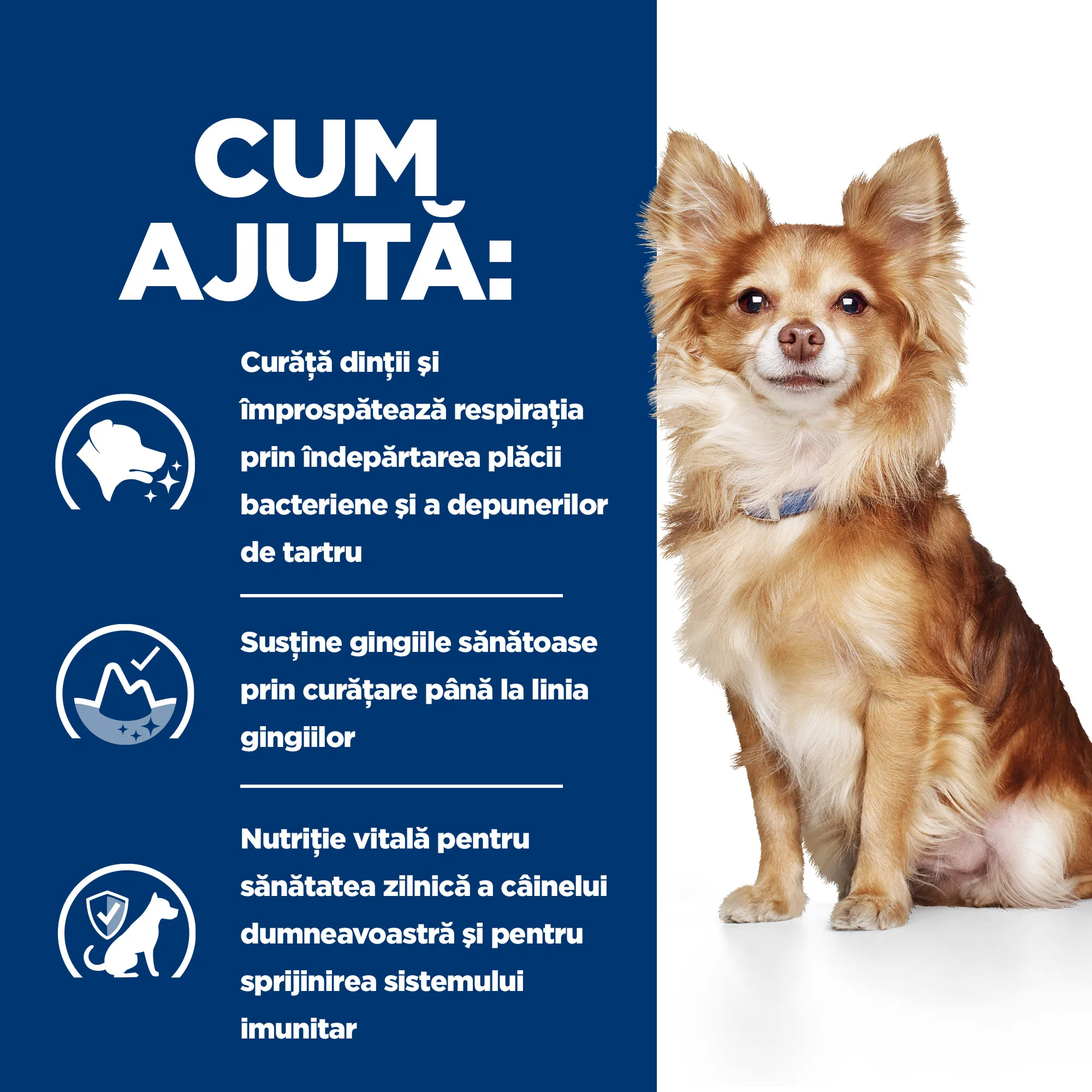 Hill's Prescription Diet T/D Mini cu Pui Câini 3kg