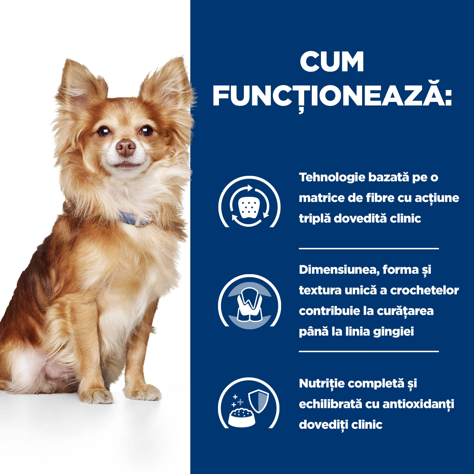 Hill's Prescription Diet T/D Mini cu Pui Câini 3kg