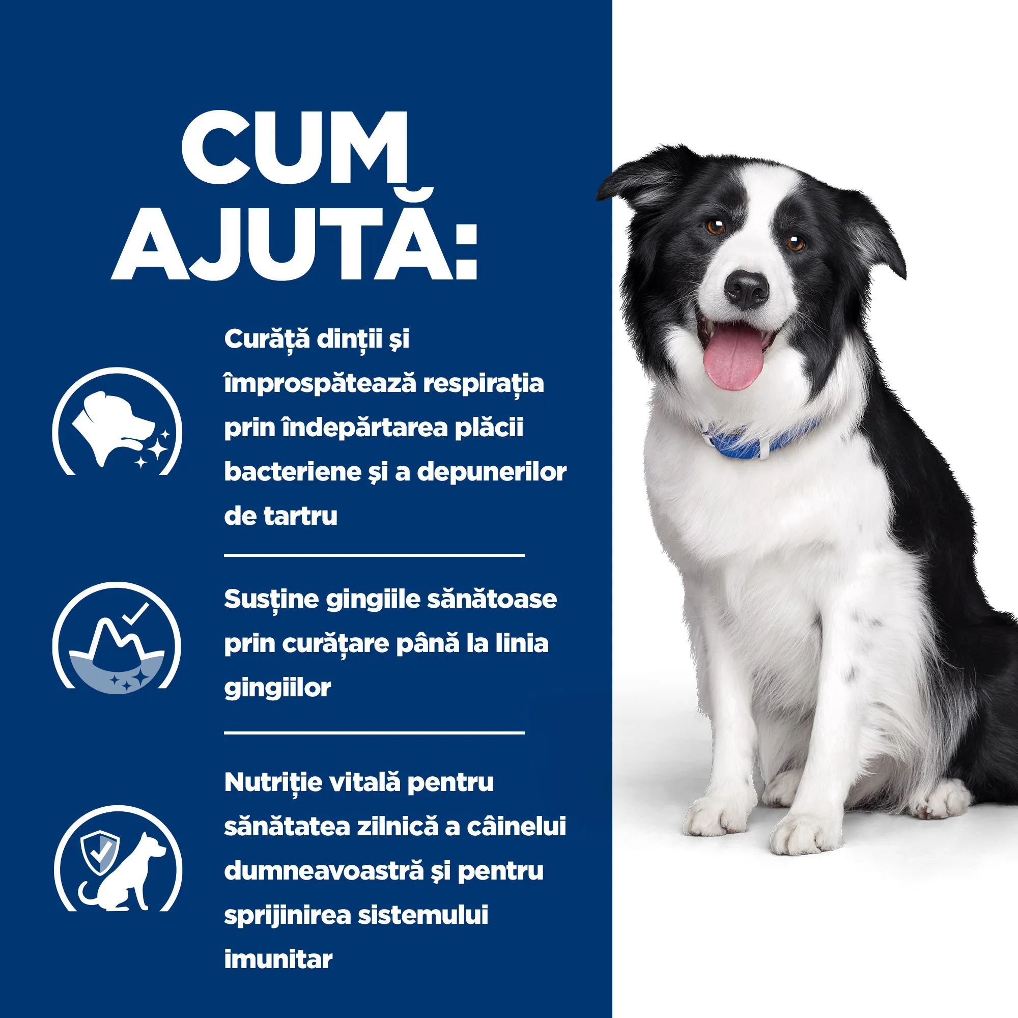 Hill's Prescription Diet T/D cu Pui Câini 4kg