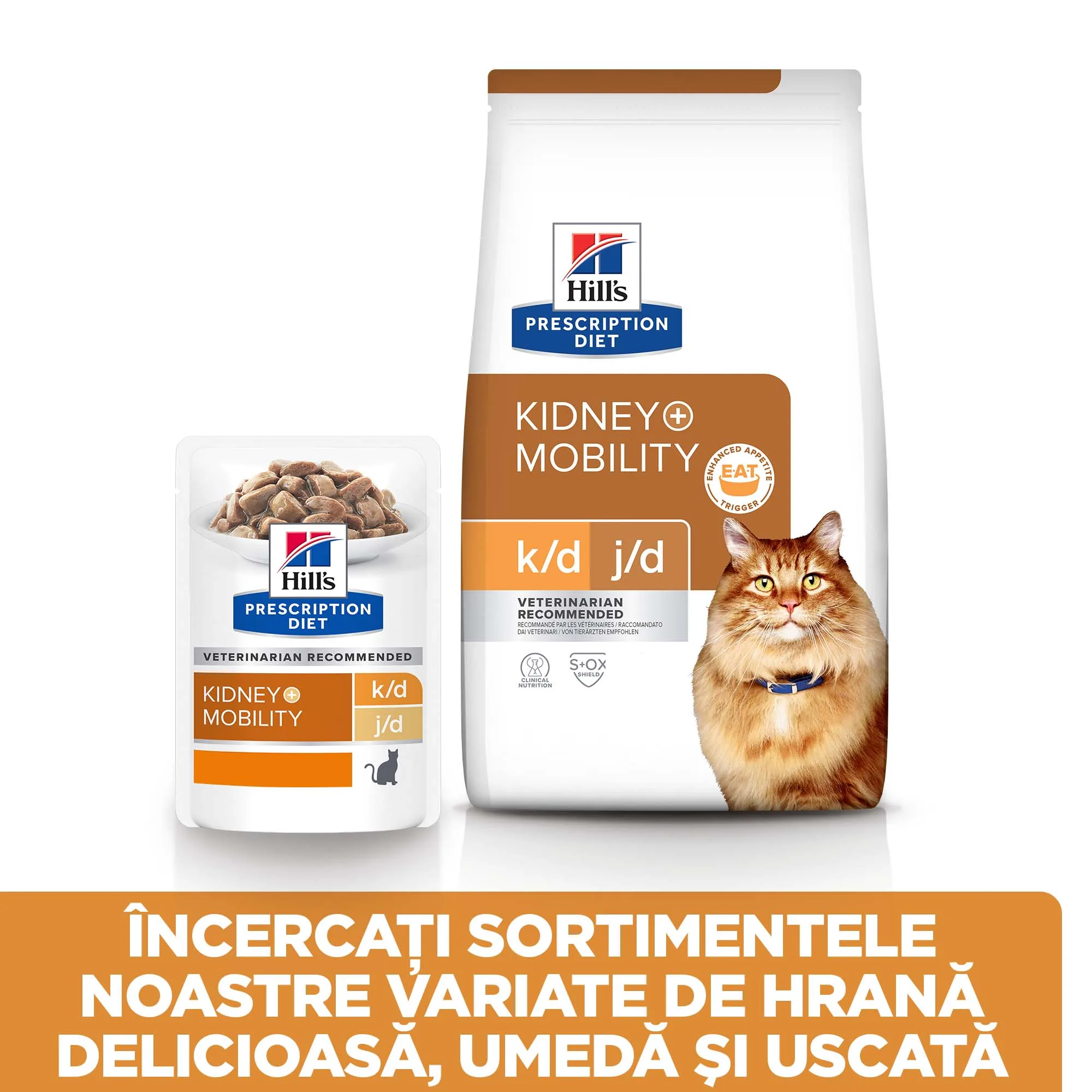 Hill's Prescription Diet K/D + Mobility cu Pui Pisici 1.5kg