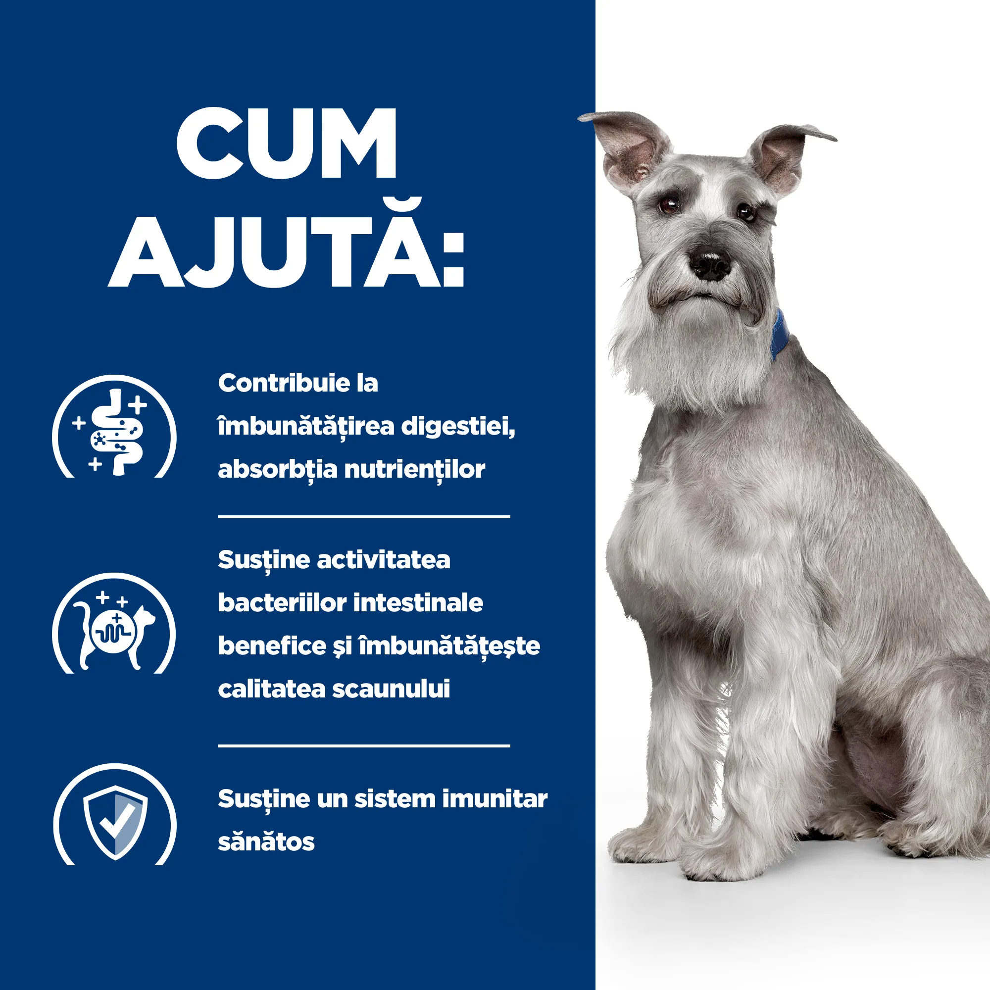Hill's Prescription Diet I/D Low Fat cu Pui și Legume Adăugate Câini 156g