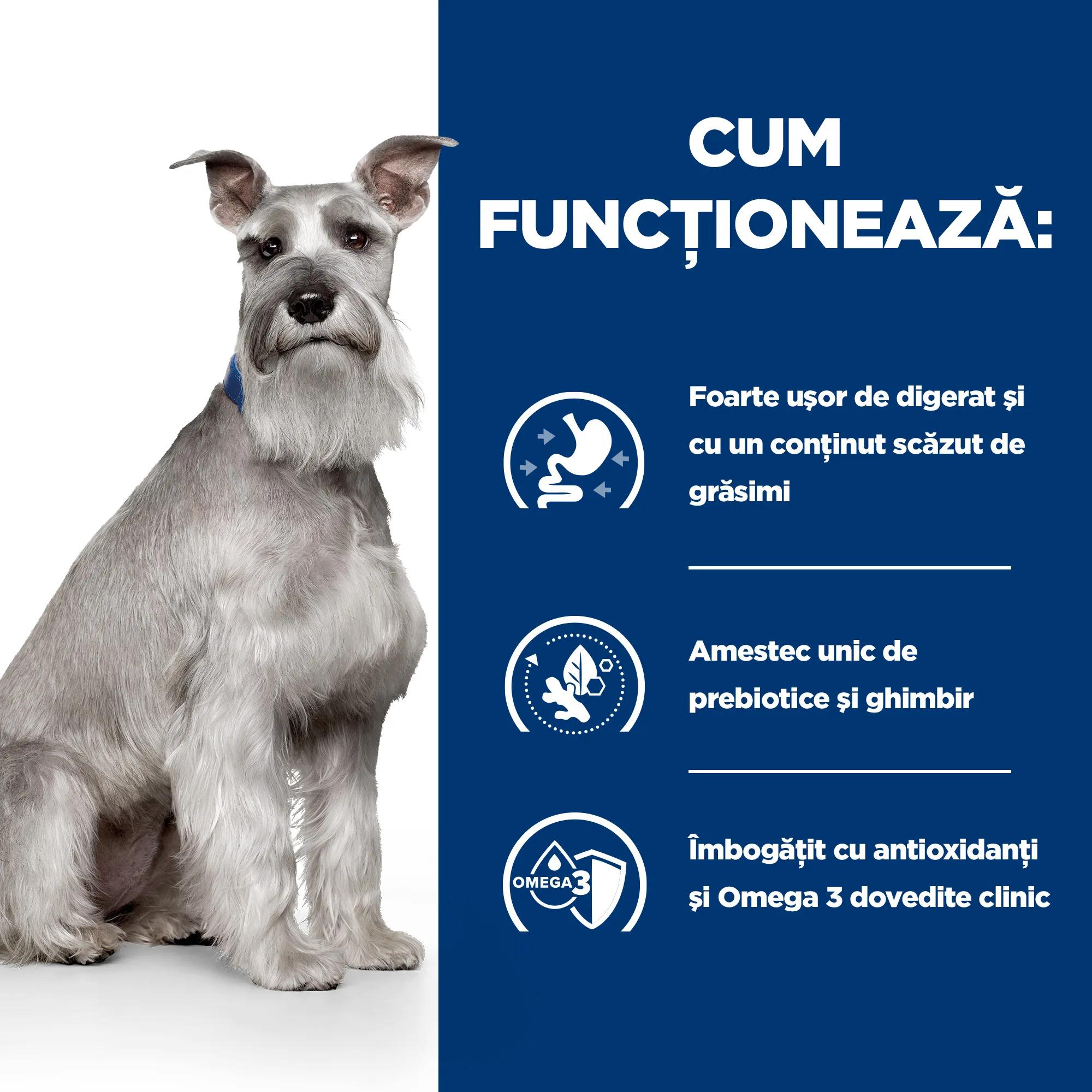 Hill's Prescription Diet I/D Low Fat cu Pui și Legume Adăugate Câini 156g