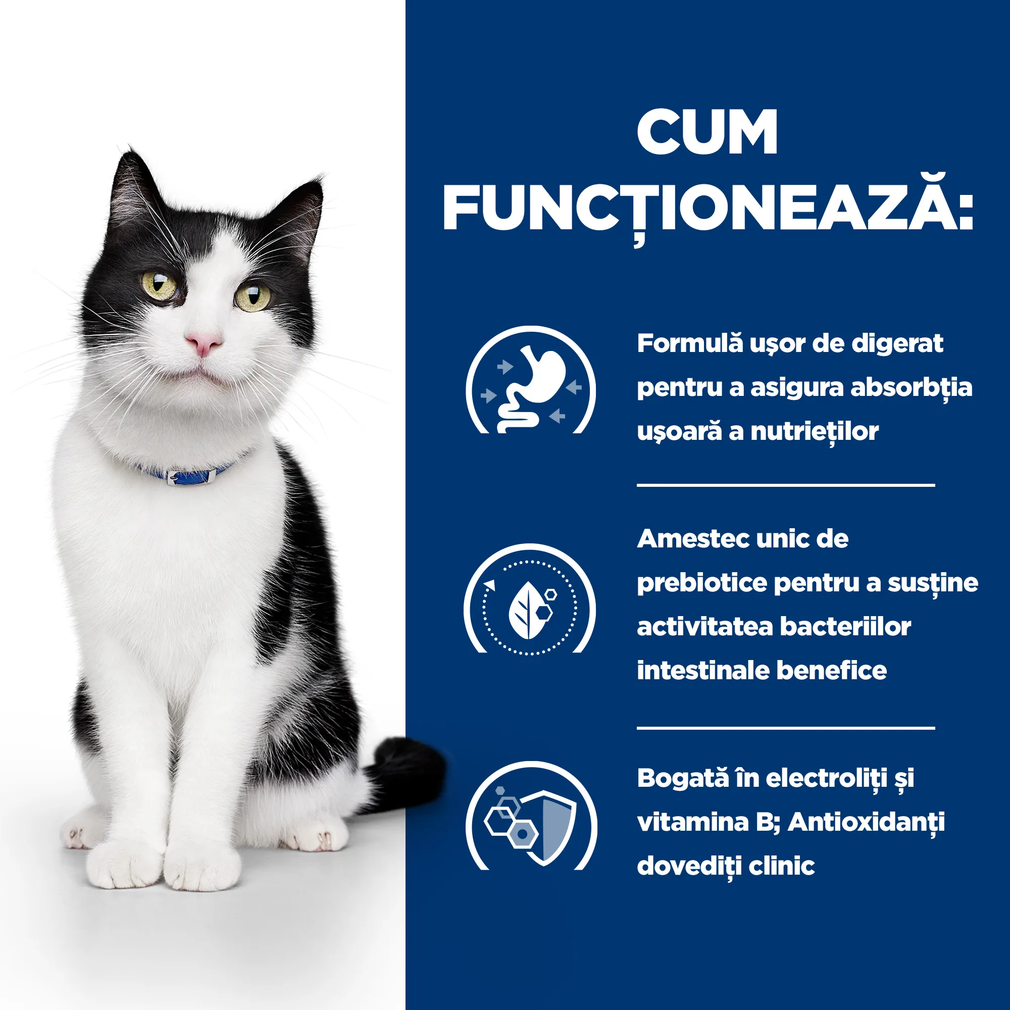 Hill's Prescription Diet I/D cu Pui Pisici 1.02kg