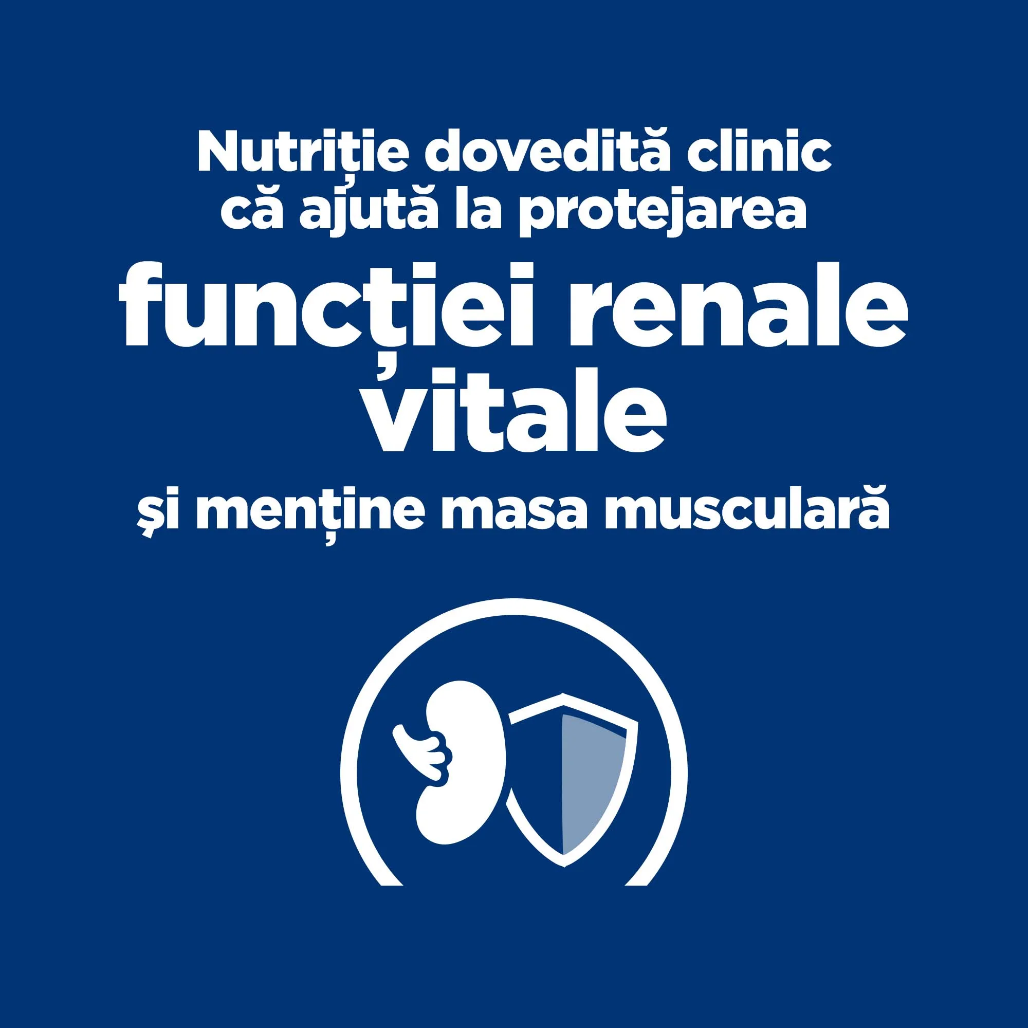 Hill's Prescription Diet KD Tocăniță cu Pui și Legume Adăugate Câini 156g