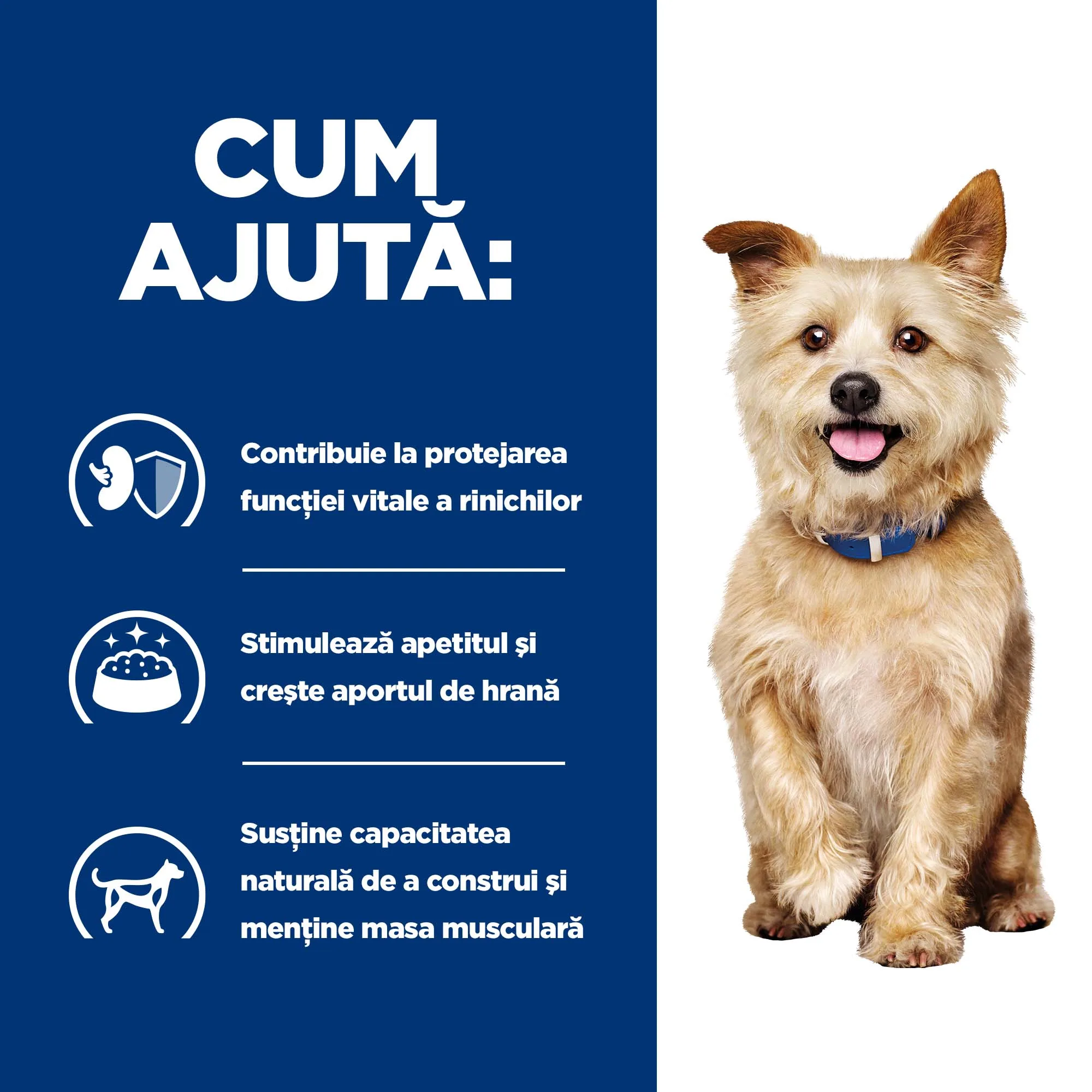Hill's Prescription Diet KD Tocăniță cu Pui și Legume Adăugate Câini 156g