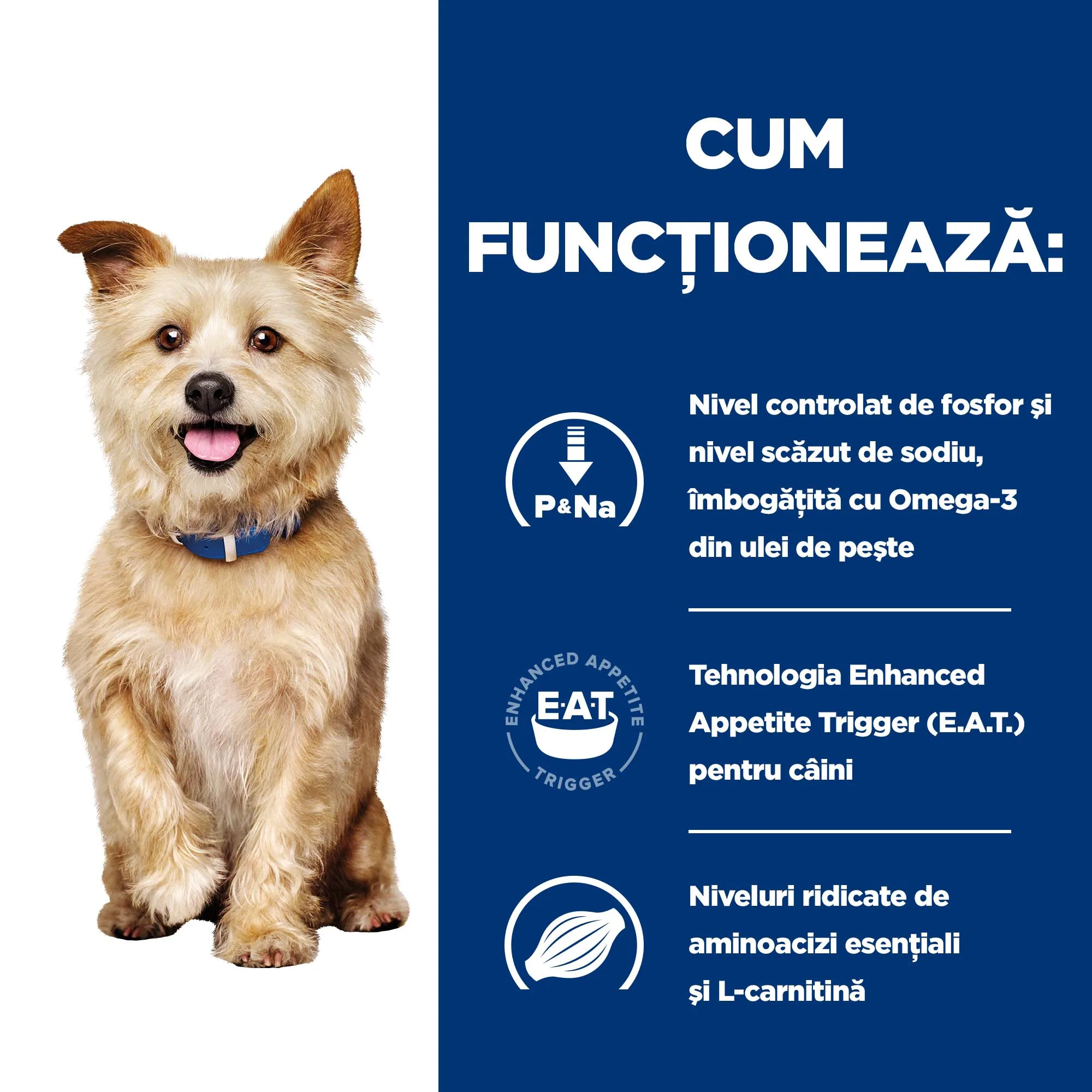 Hill's Prescription Diet KD Tocăniță cu Pui și Legume Adăugate Câini 156g