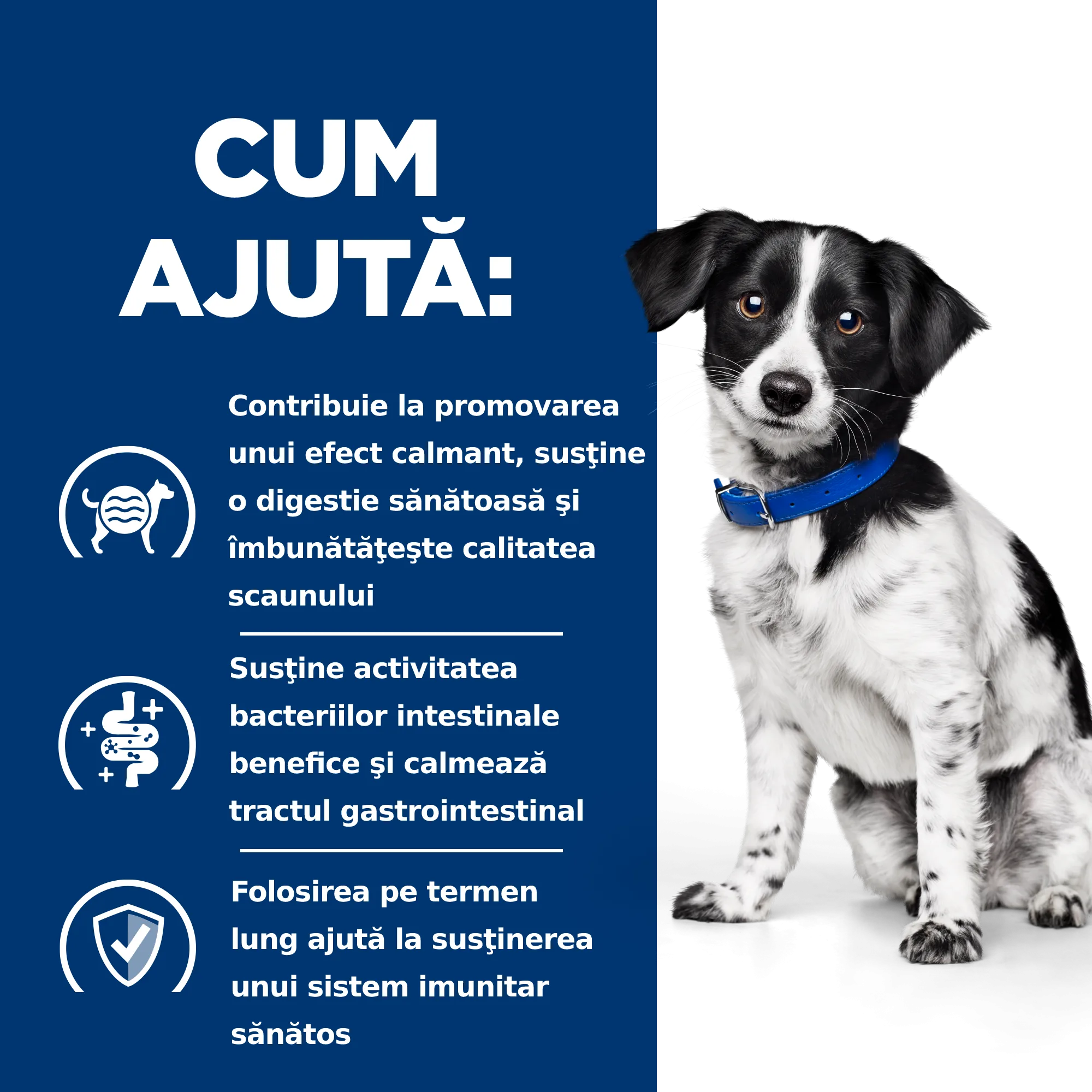Hill's Prescription Diet I/D Stress Mini Tocăniță cu Gust de P Câini 156g