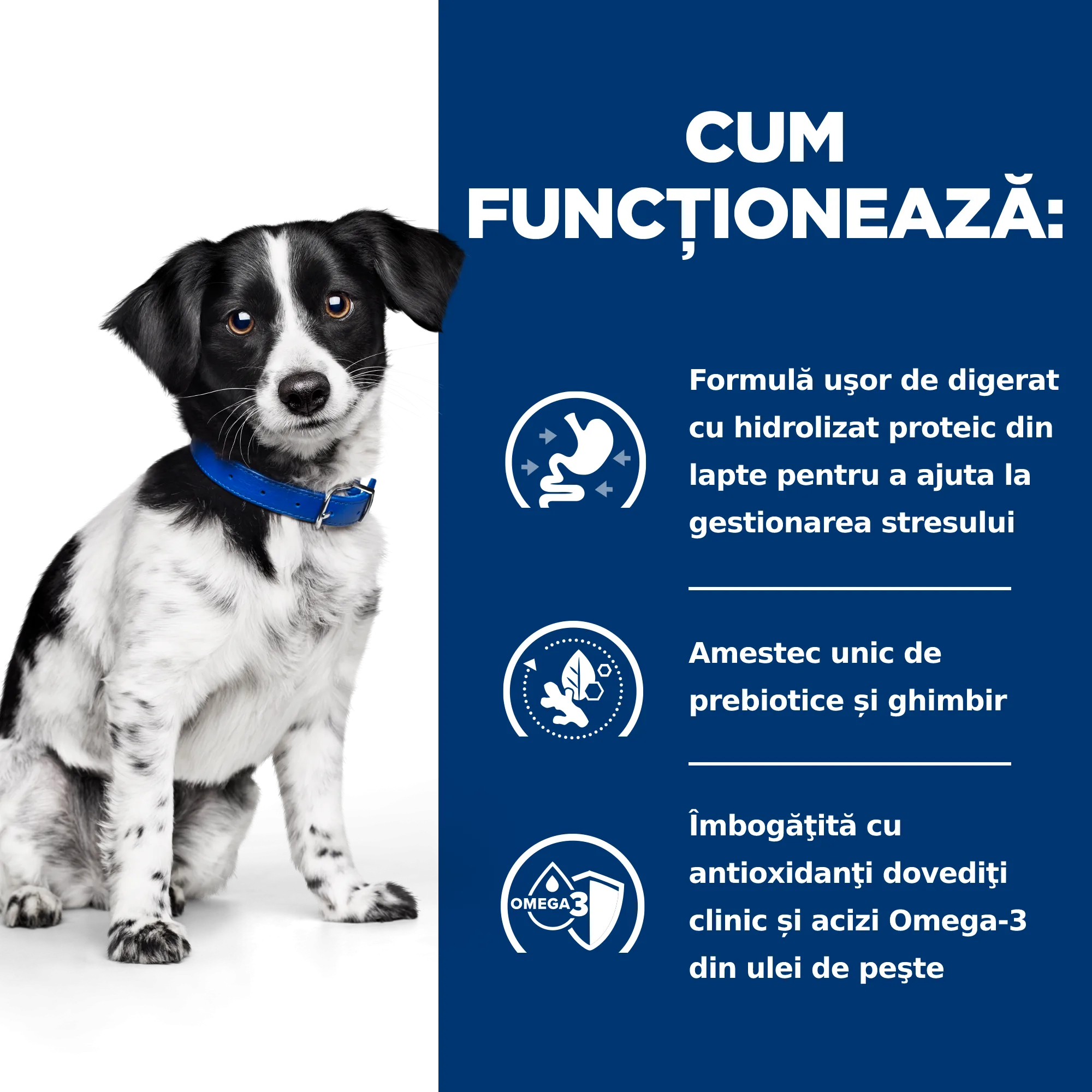 Hill's Prescription Diet I/D Stress Mini Tocăniță cu Gust de P Câini 156g