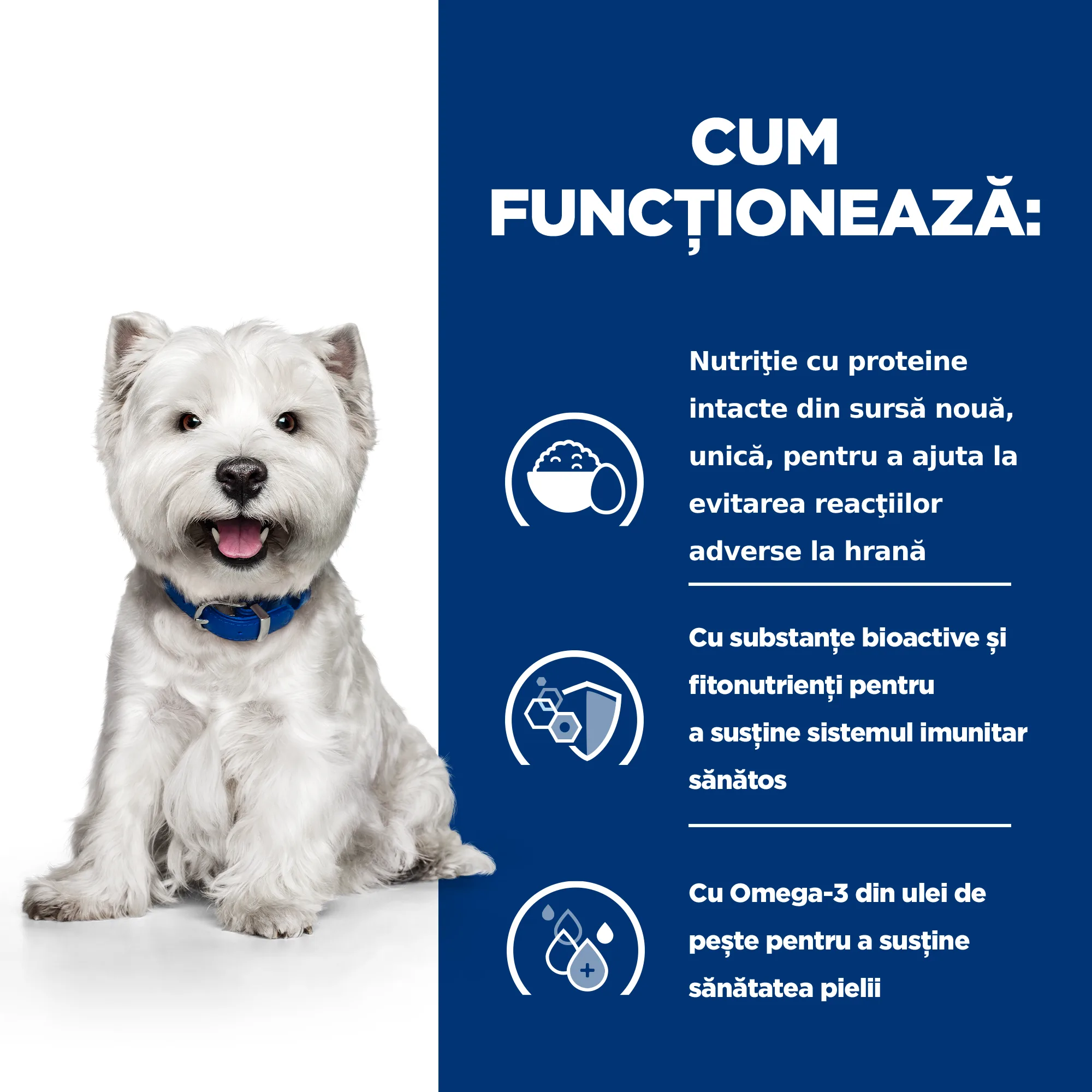 Hill's Prescription Diet Derm Complete Mini Câini 1kg