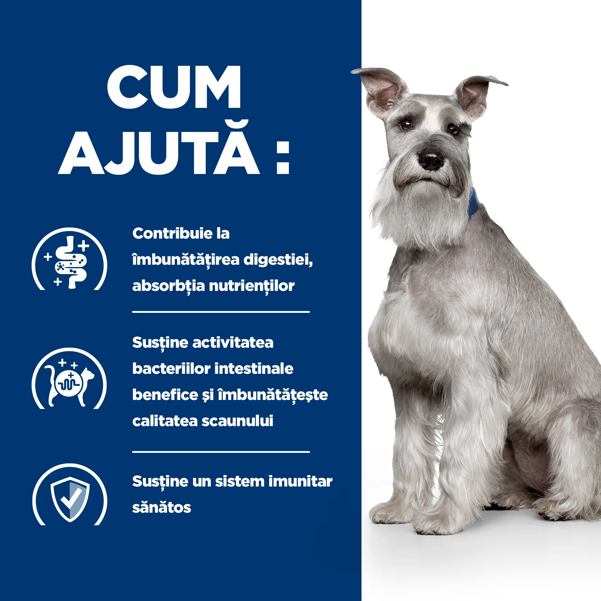 Hill's Prescription Diet I/D Low Fat Tocăniță cu Gust de Pui și Legume Câini 354g