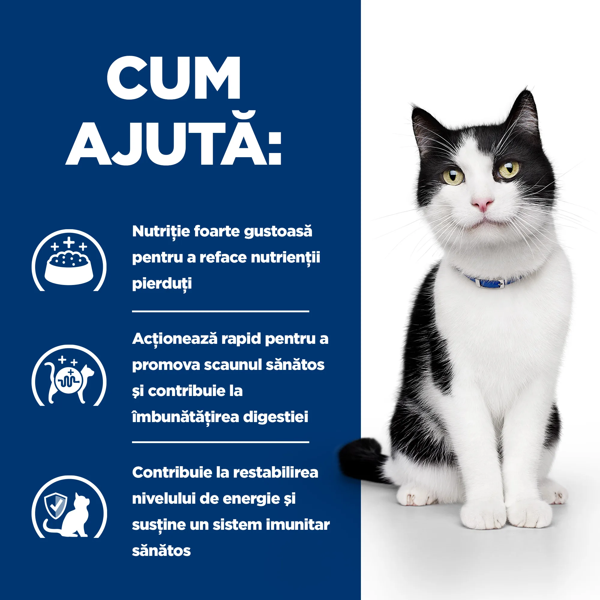 Hill's Prescription Diet I/D cu Pui Pisici 8kg