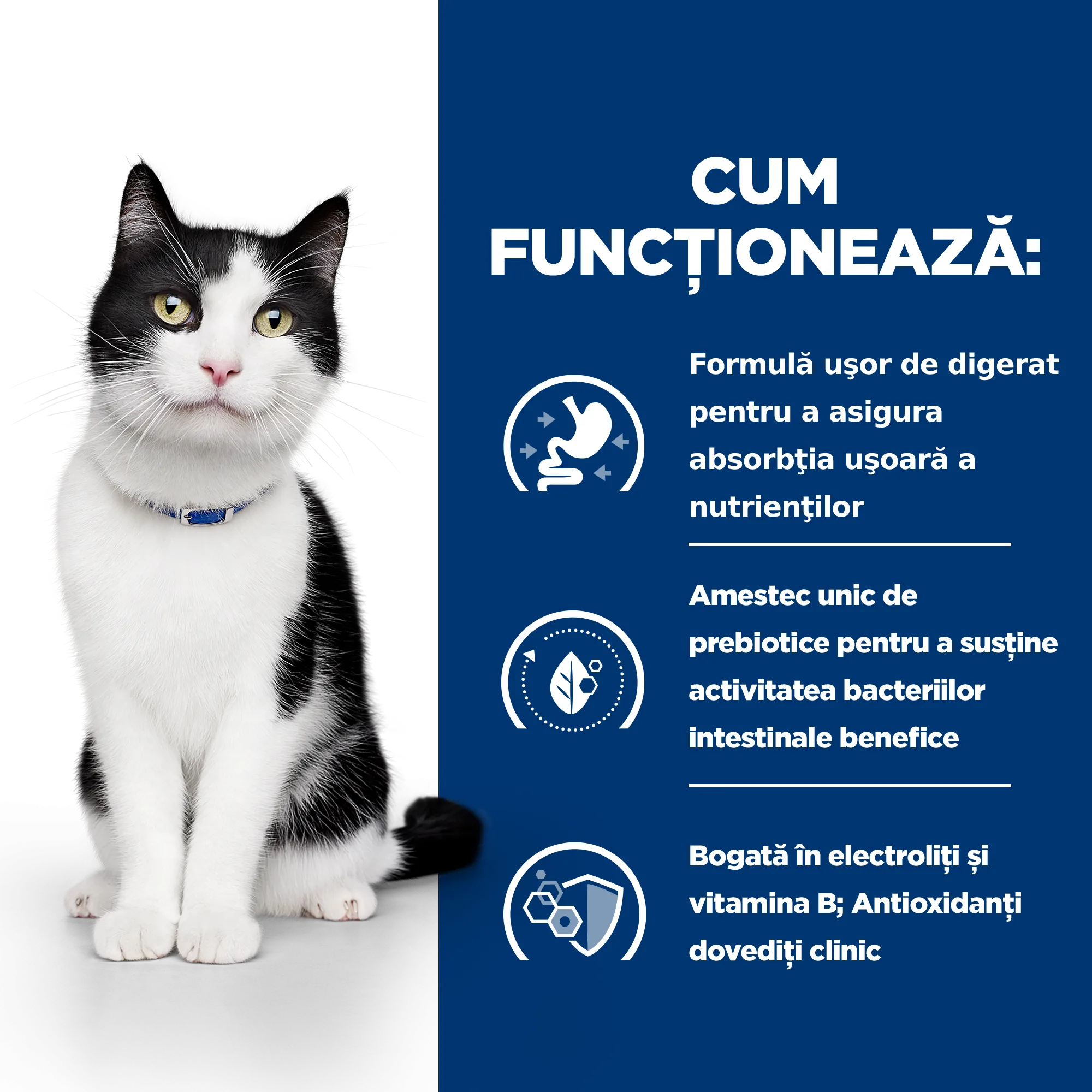Hill's Prescription Diet I/D cu Pui Pisici 8kg