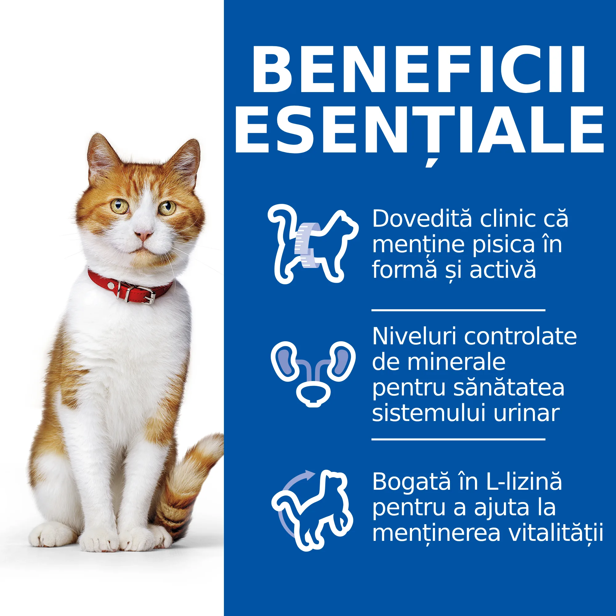 Hill's Science Plan Sterilised Cat Adult cu Ton Pisici 15kg