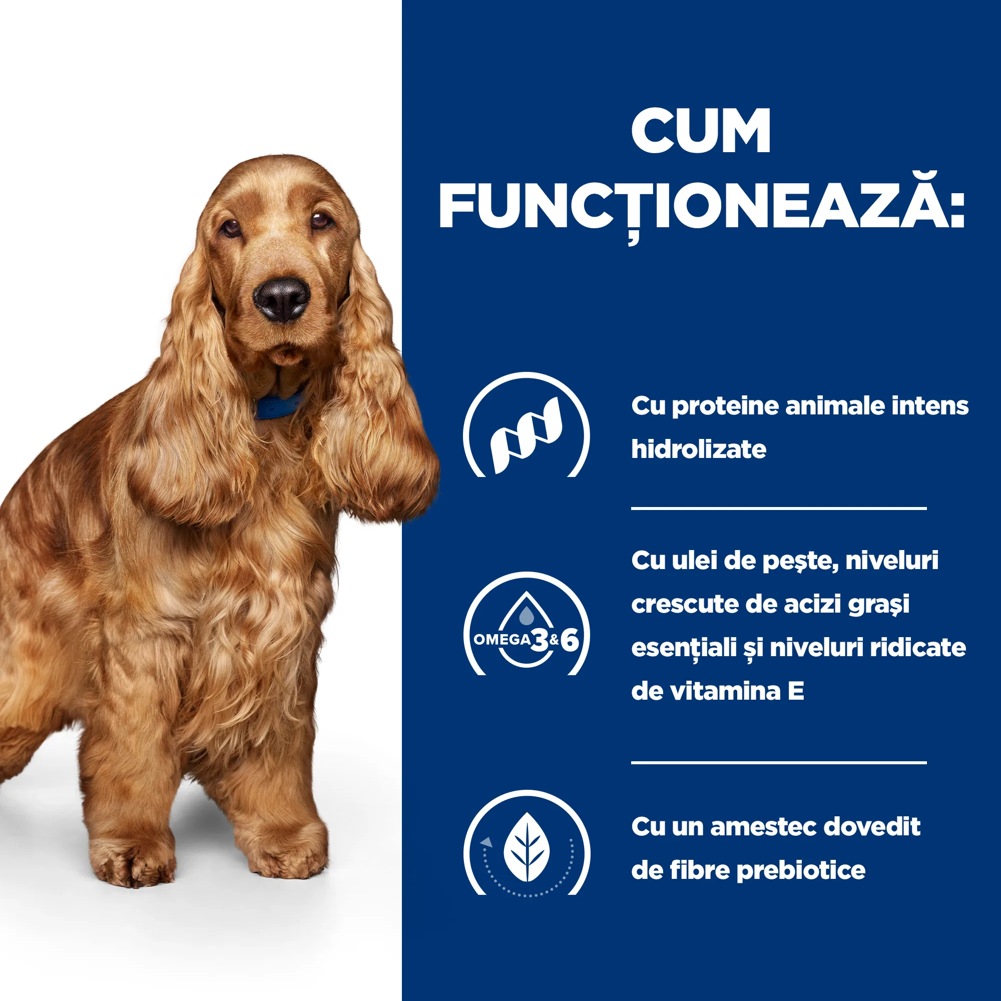 Hill's Prescription Diet Z/D Câini 10kg