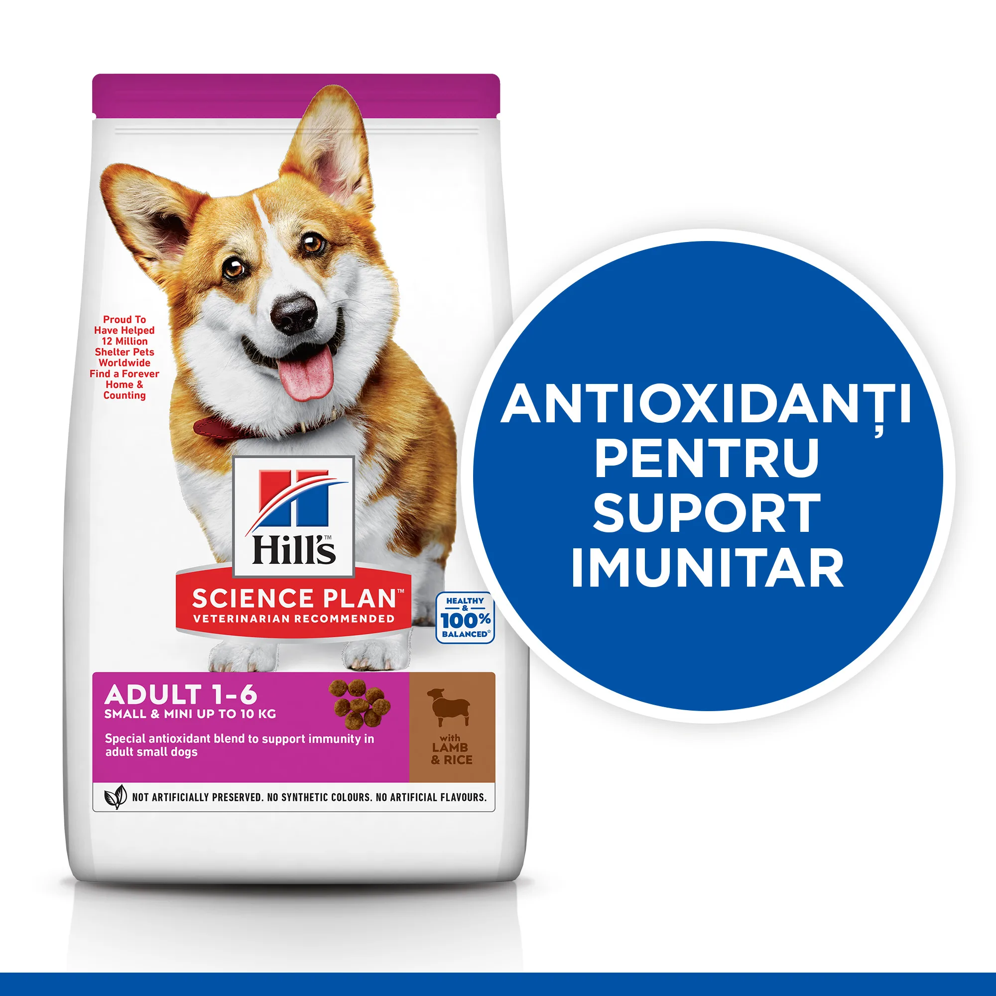 Hill's Science Plan Small & Mini Adult cu Miel și Orez Câini 1.5kg