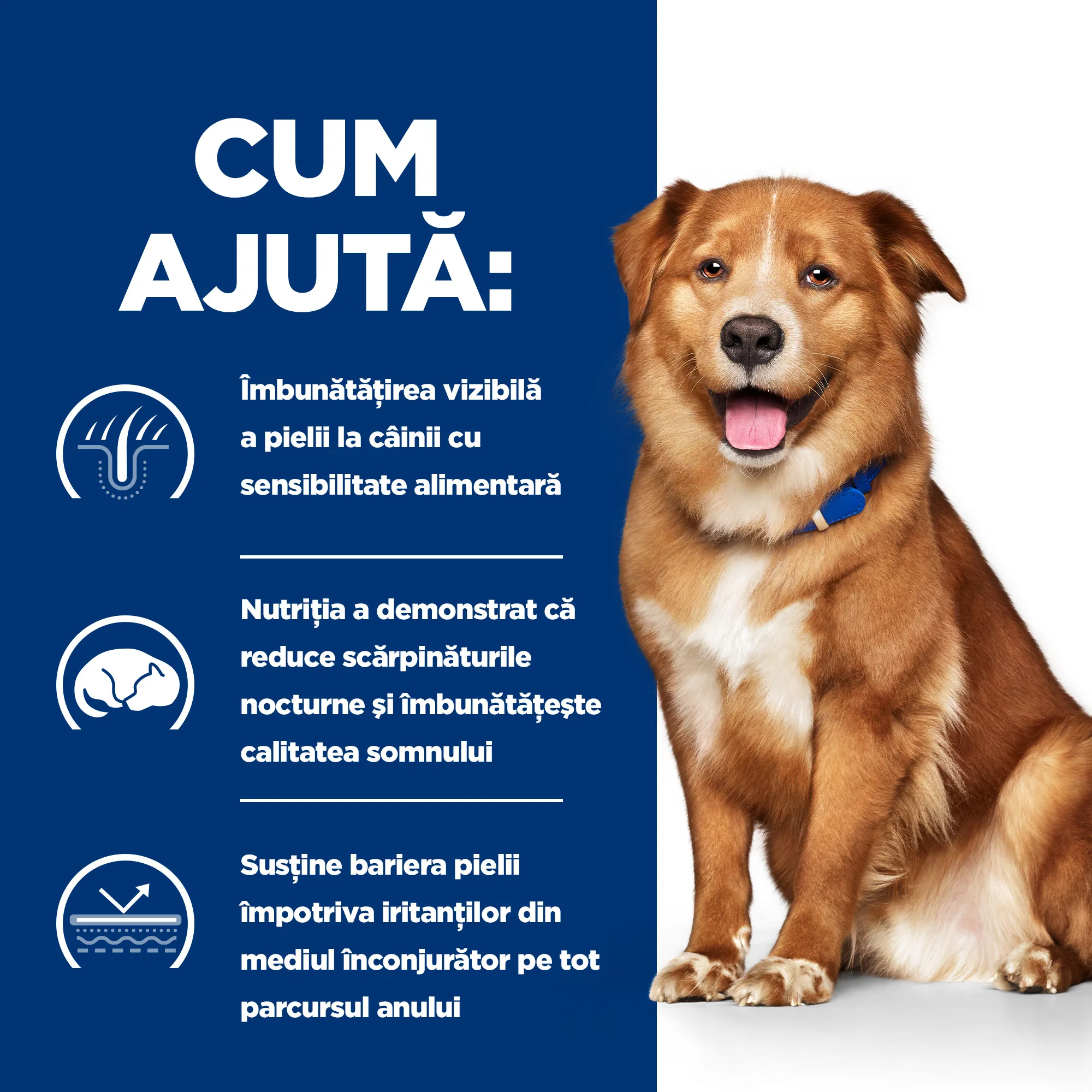 Hill's Prescription Diet Derm Complete Câini 200g