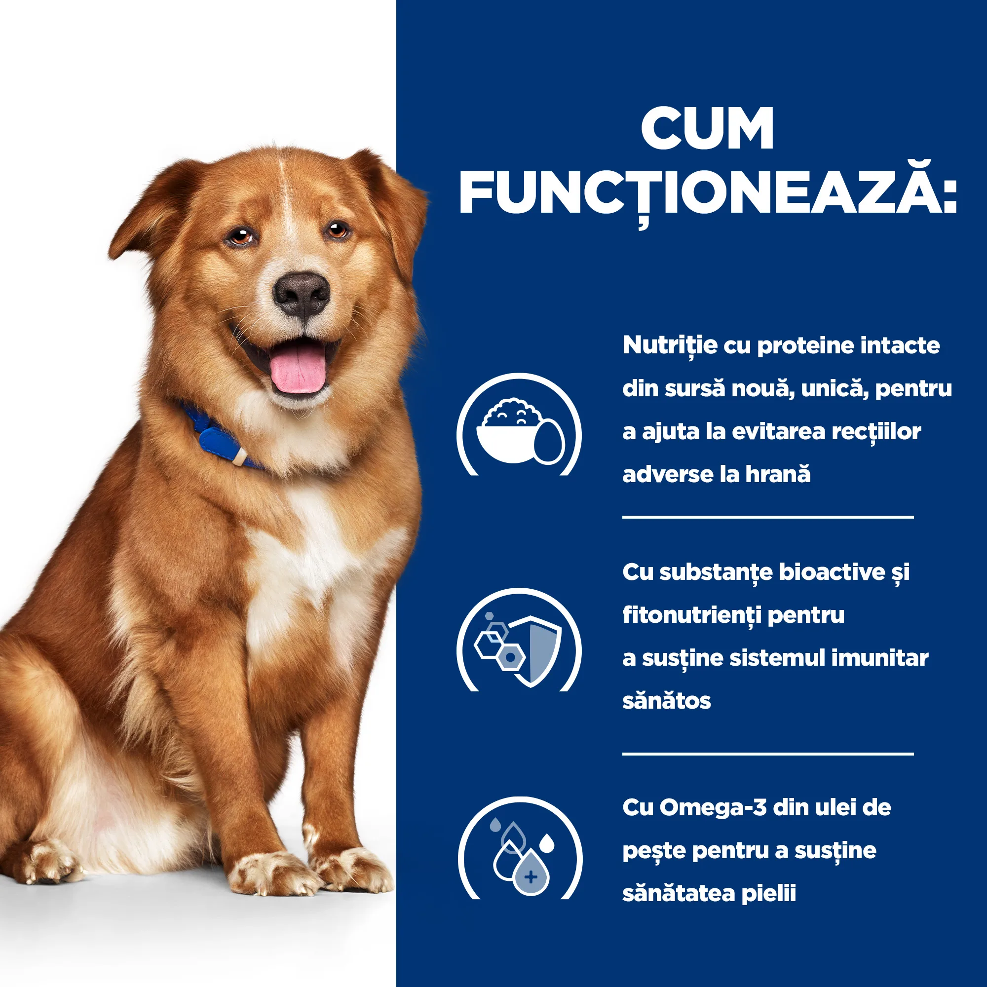 Hill's Prescription Diet Derm Complete Câini 200g