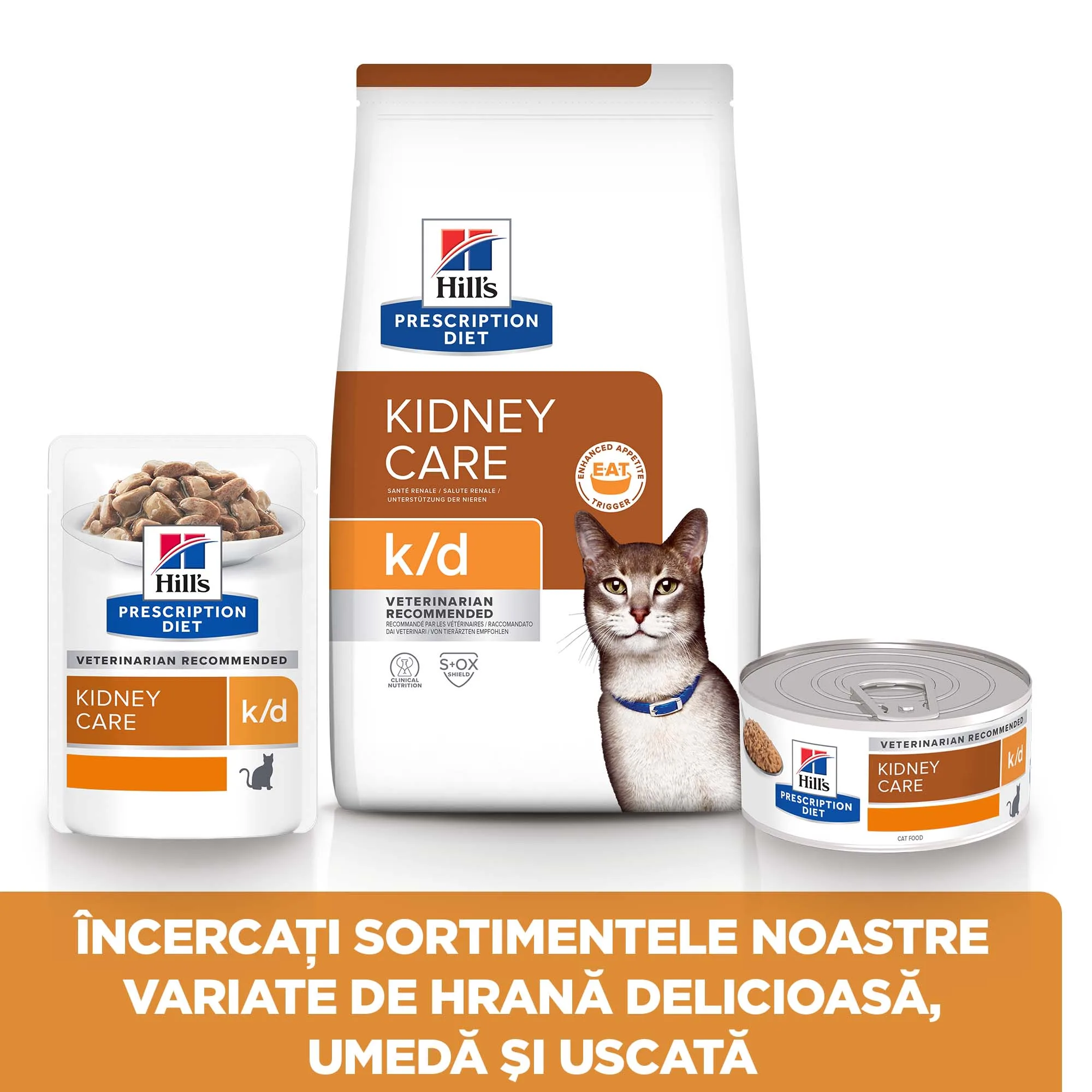 Hill's Prescription Diet K/D cu Pui Pisici 300g
