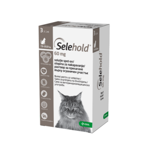 Pet Shop Online — EVOVET