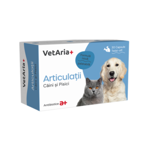 Pet Shop Online — EVOVET