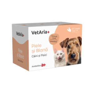 Pet Shop Online — EVOVET