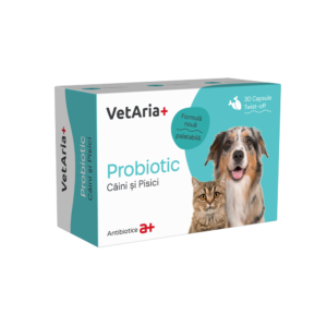 Pet Shop Online — EVOVET