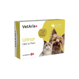Pet Shop Online — EVOVET