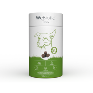 Pet Shop Online — EVOVET