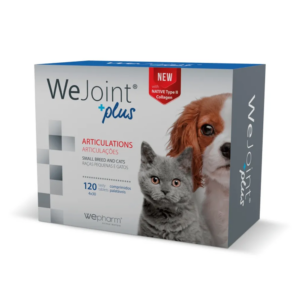 Pet Shop Online — EVOVET